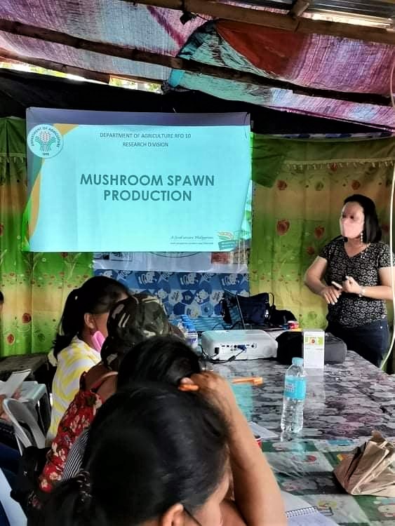 Former insurgents become mushroom growers in Bukidnon