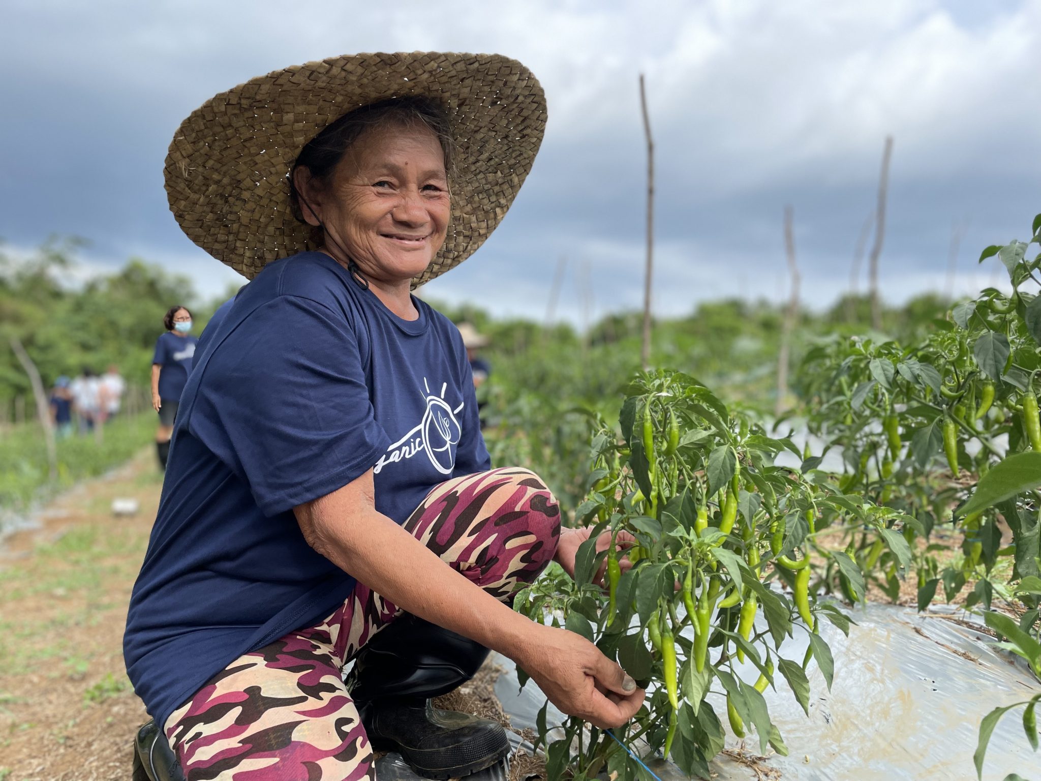 180 Masbate farmers trained on organic agriculture