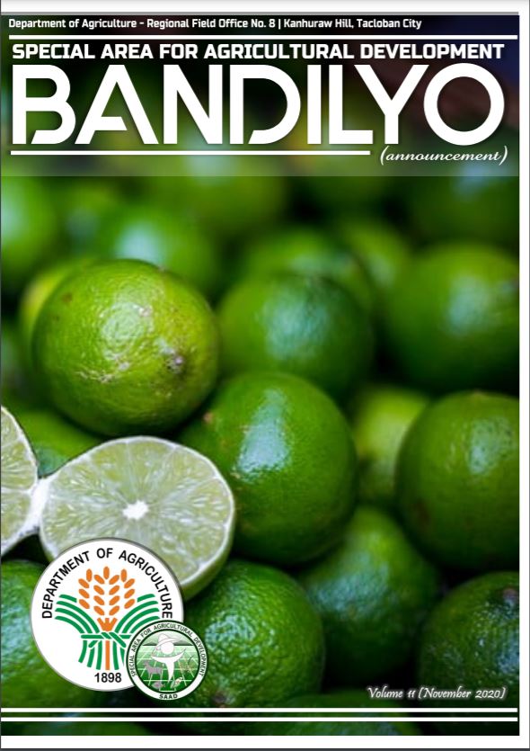 Bandilyo Vol. 1 Issue No. 11