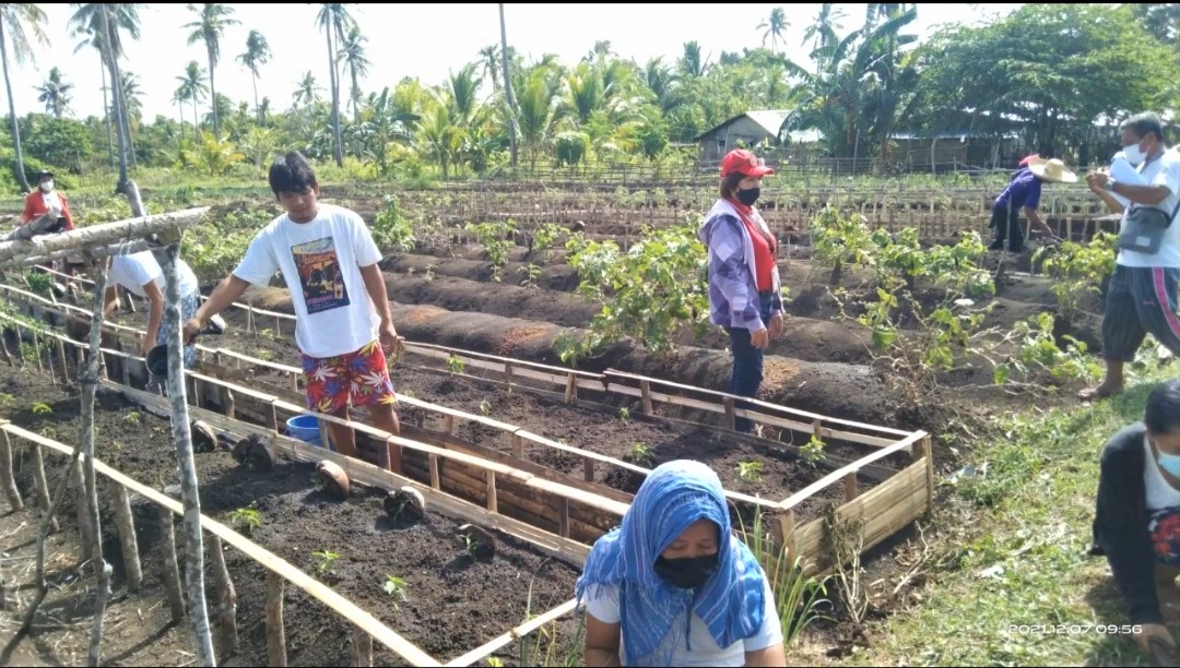 Masbate FA: source of organically-grown vegetables