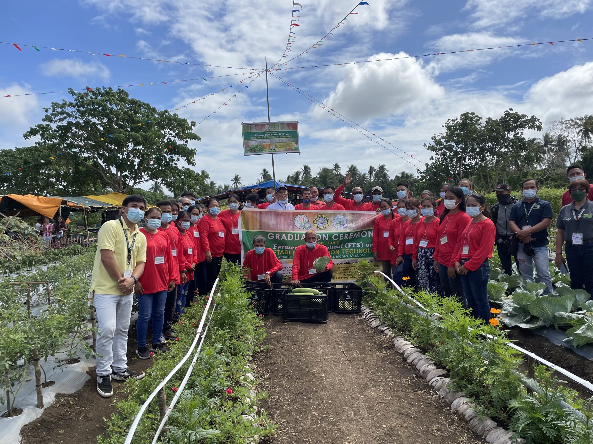 31 Masbate vegetable farmers concludes season-long FFS