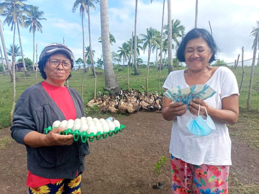 51 Masbate farmers reap rewards from duck production