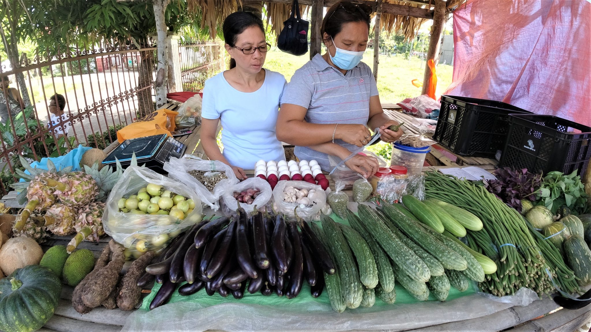 Sorsogon agripreneurs earn Php 141k from fresh and processed vegetables