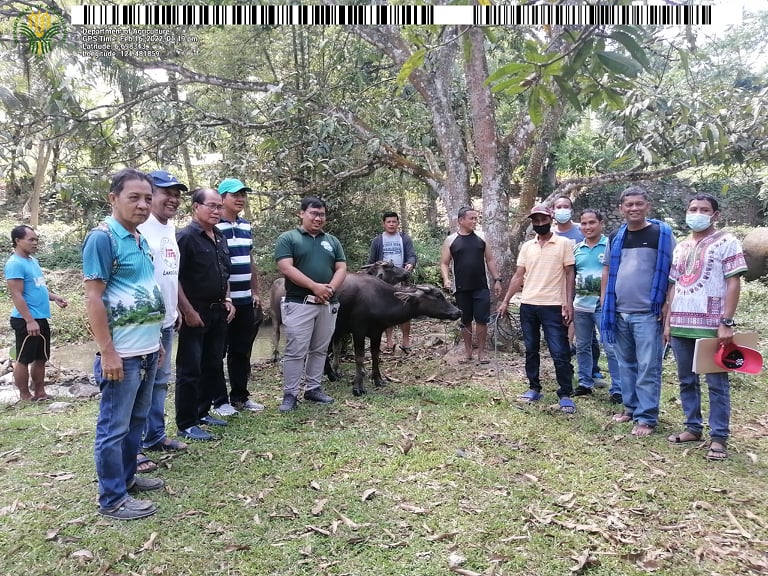 16 FAs in Sarangani and Sultan Kudarat benefit from DA-SAAD’s livestock projects