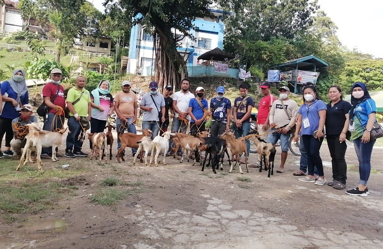 10 Cotabato FCAs benefit from DA-SAAD’s native goat project