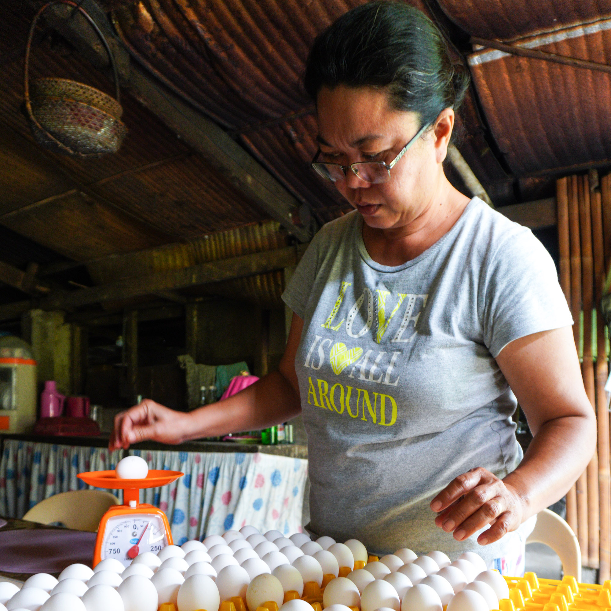 Eggs-ploring women’s potential: PaCLayFA’s booming egg production in Paluan