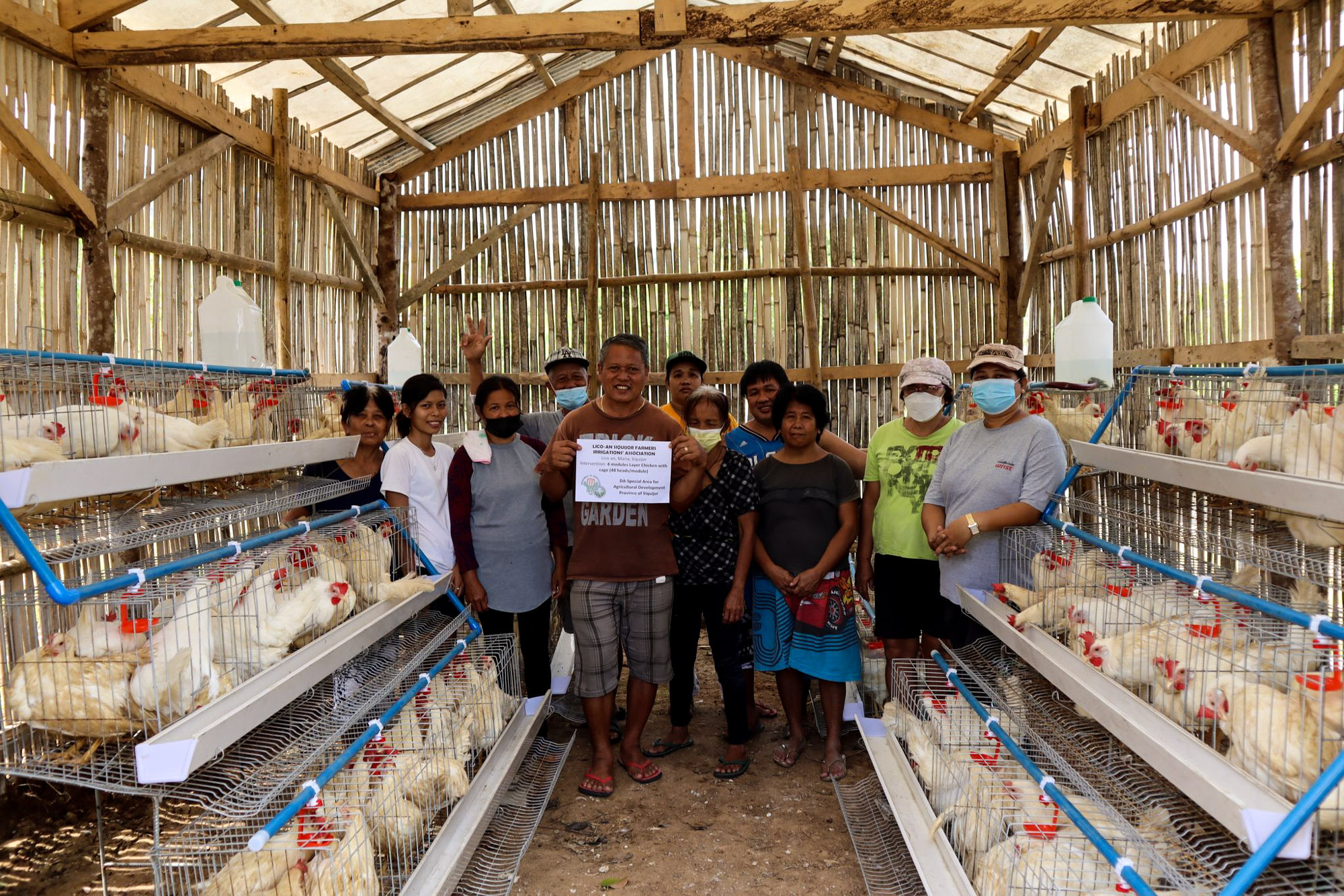 6 Siquijor FAs receive layer chicken under the DA-SAAD program