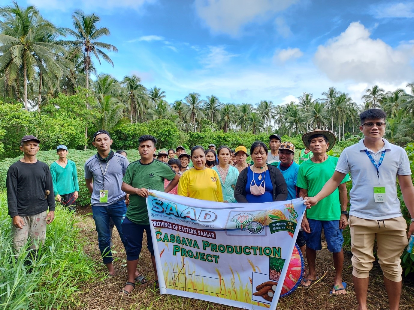 Cassava Production Project benefits 3 FAs in Eastern Samar