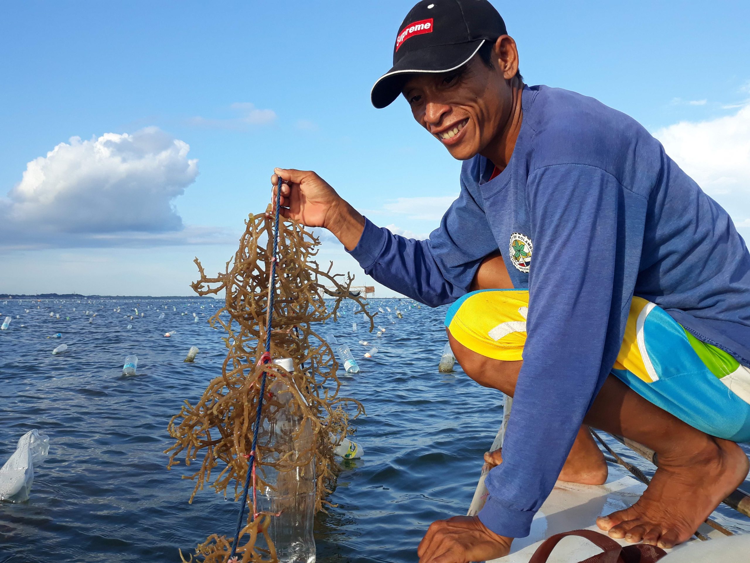 DA-SAAD’s contribution to climate change adaptation: thriving seaweed culture projects