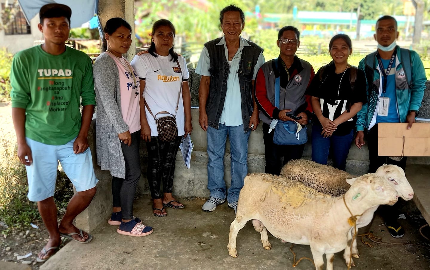 Php 550k worth of improved small ruminants granted to 4 FAs in Apayao