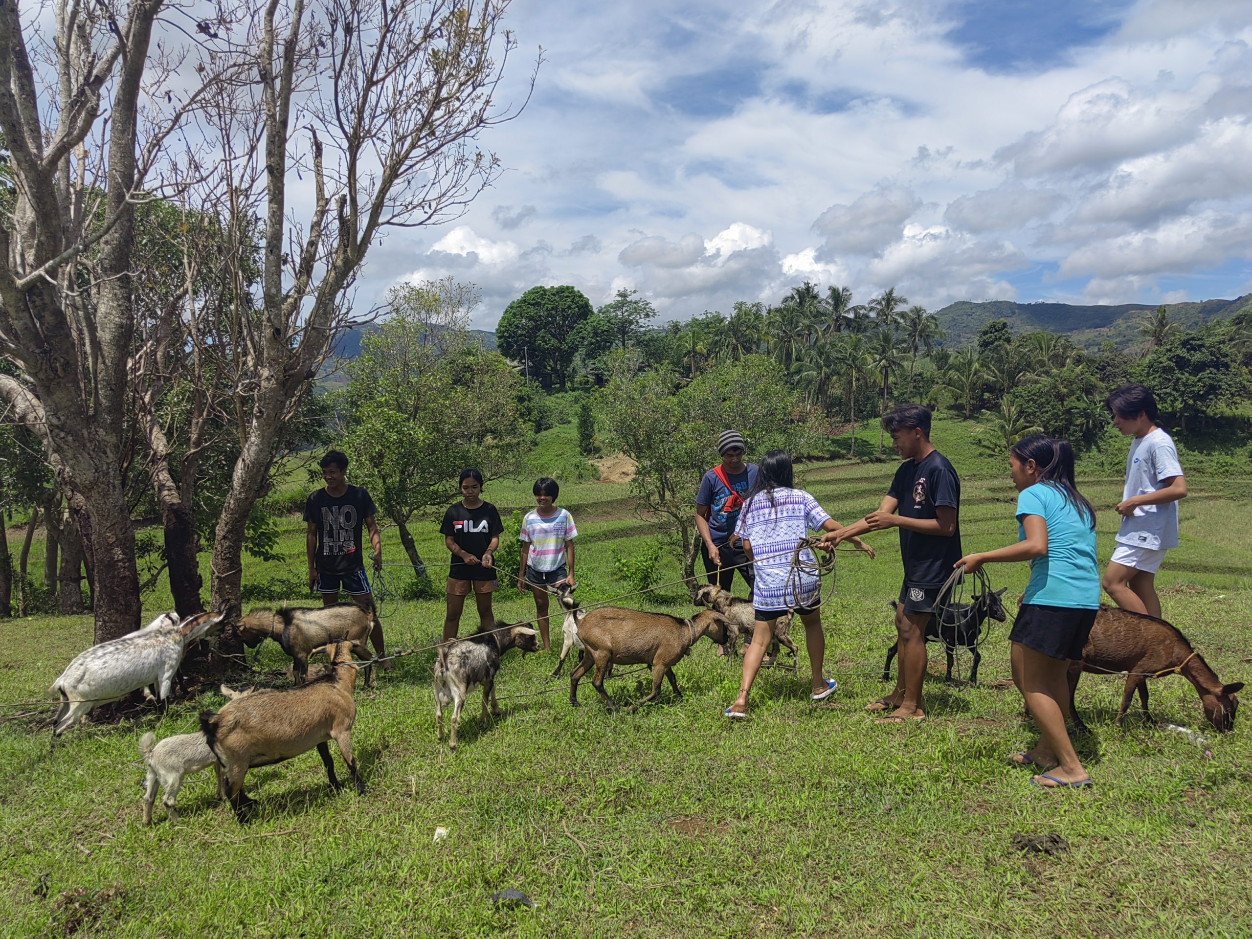 Acknowledging the perseverance of the youth: NegOcc 4H club benefit from DA-SAAD goat project