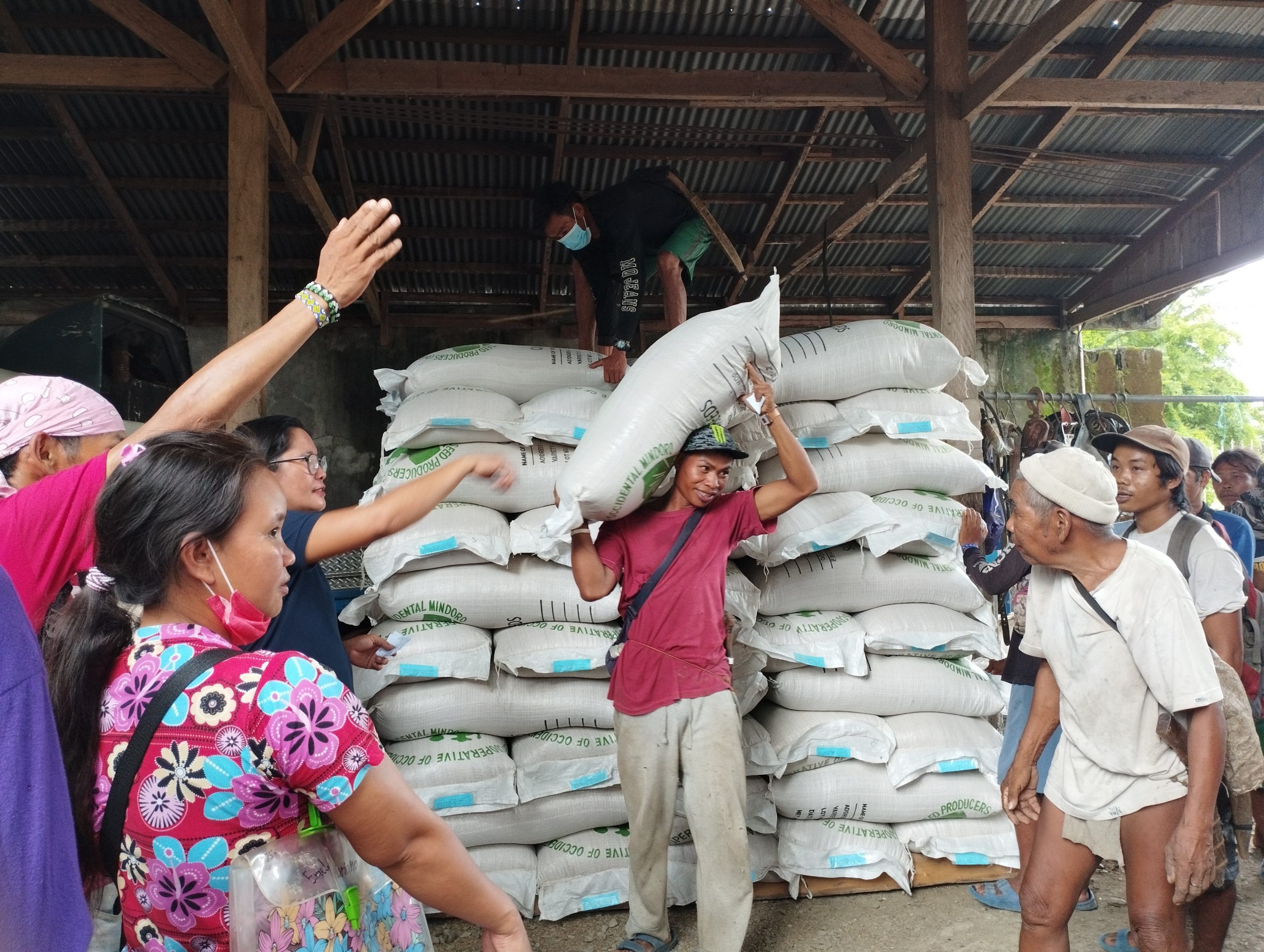 IP farmers received upland rice seeds from DA-SAAD