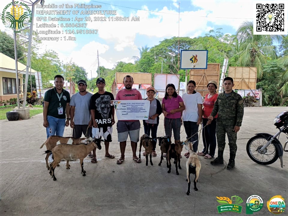 12 Cotabato FAs benefit from DA-SAAD’s goat project