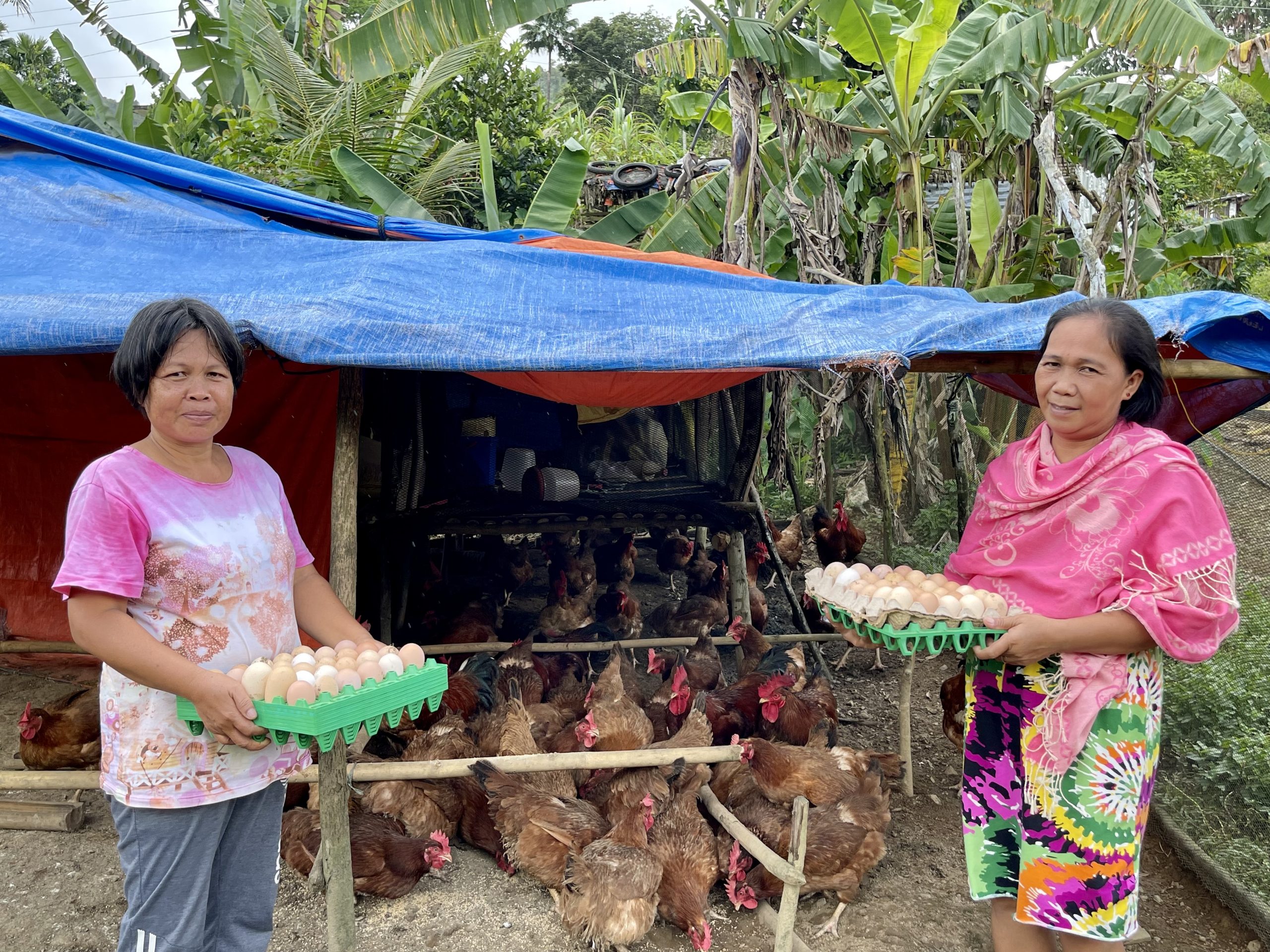 Catanduanes farmers hatch success thru SAAD poultry project