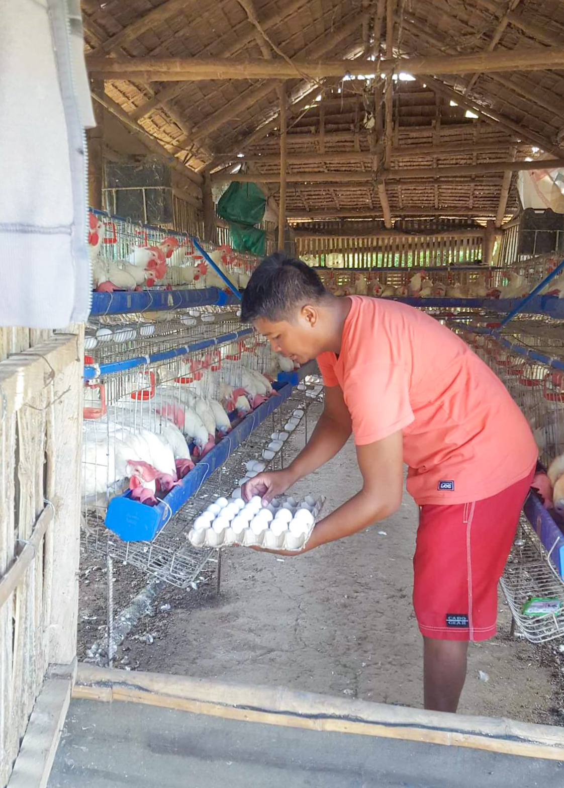 Bountiful Egg-ri-preneur from SAAD poultry project