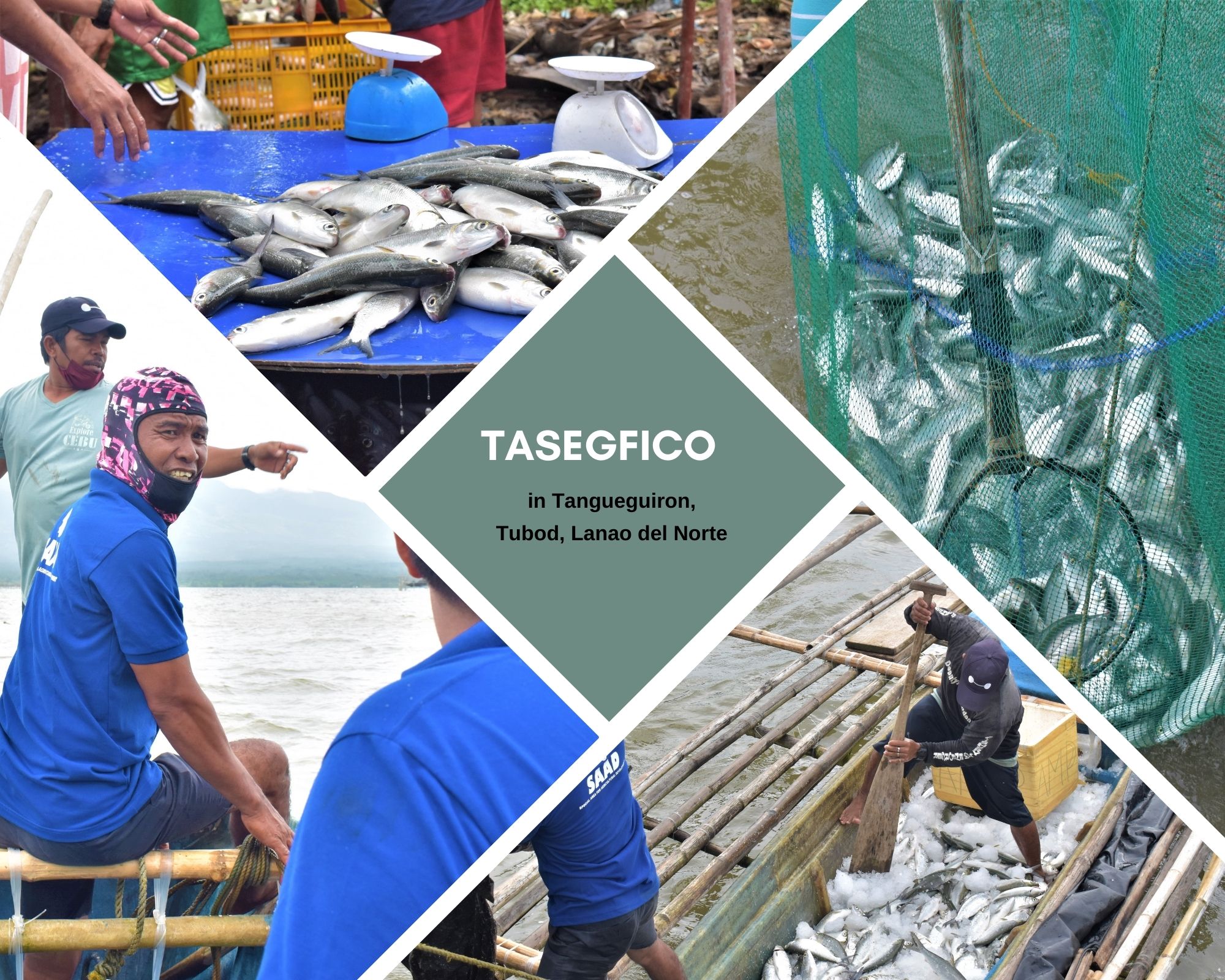 TASEGFICO: Sustainability story of seaweed and milkfish farming