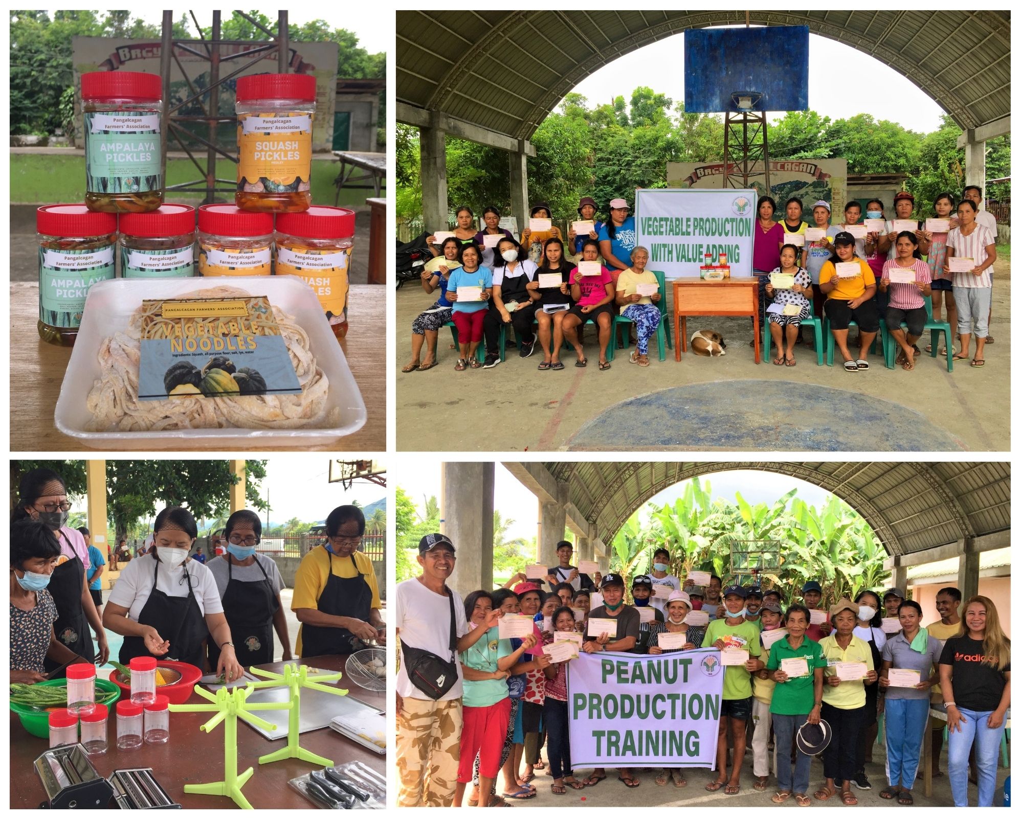120 Antique farmers trained on peanut and vegetable value addition