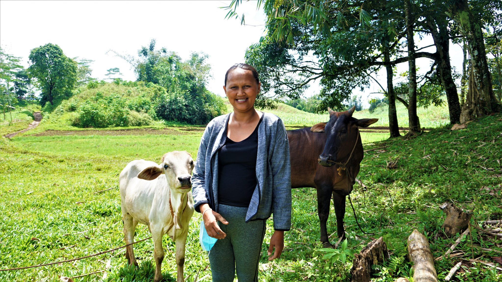 Bukidnon farmers cum cattle raisers move toward community enterprise