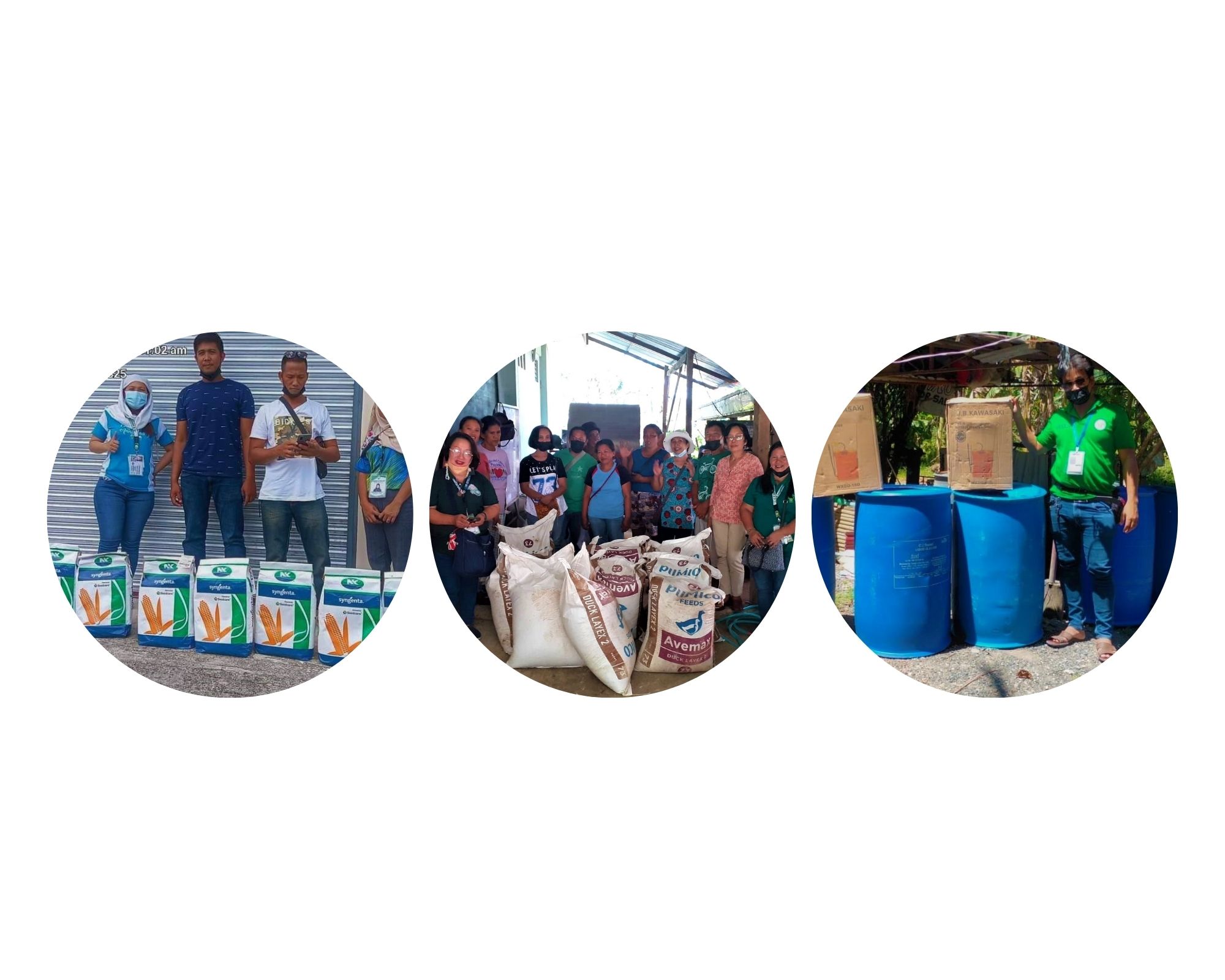 Multi-livelihood project received by 14 FAs in Cotabato