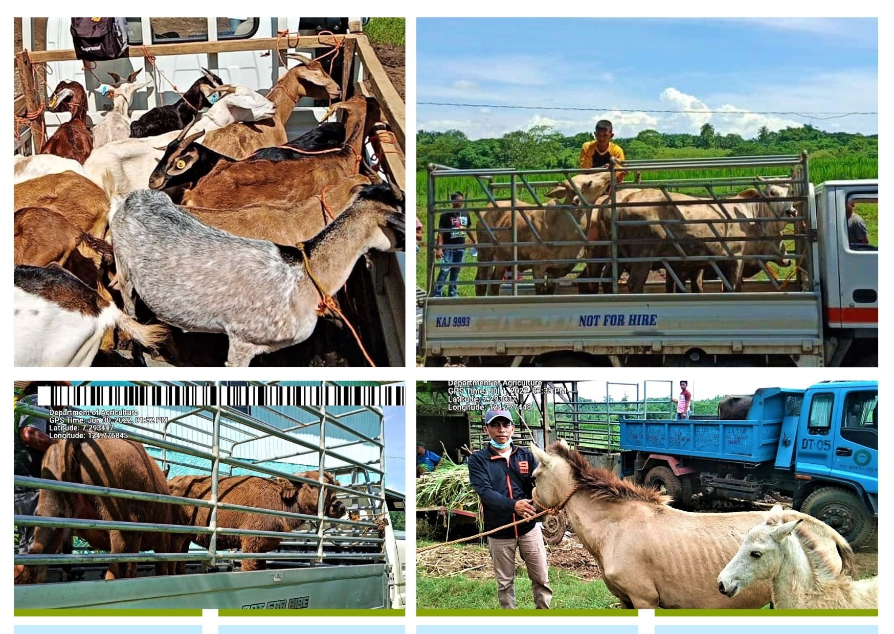 16 FAs receive Php 1.1M worth of livestock and poultry projects from DA-SAAD