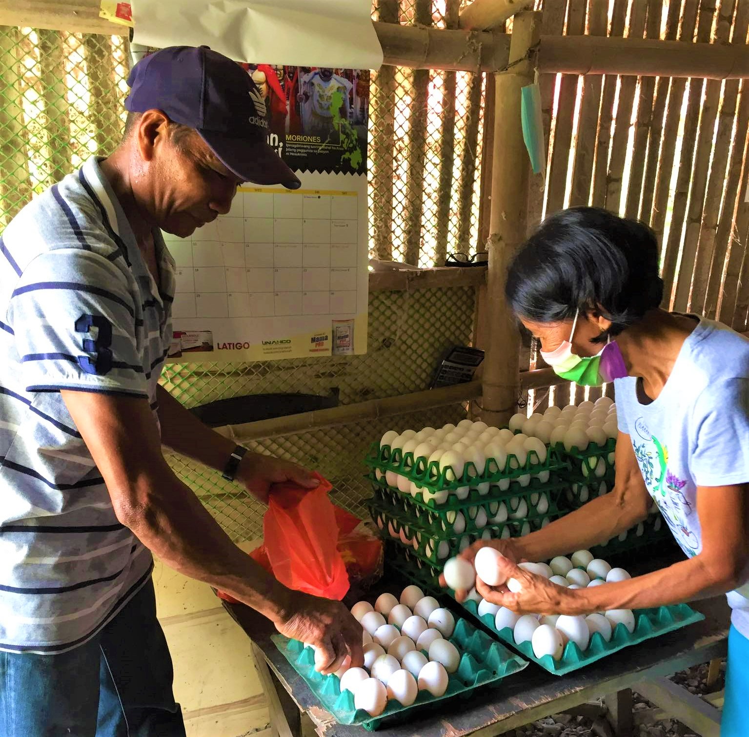 Egg-conomically rewarding: LUFIA agripreneurs road to sustainable layer egg farming