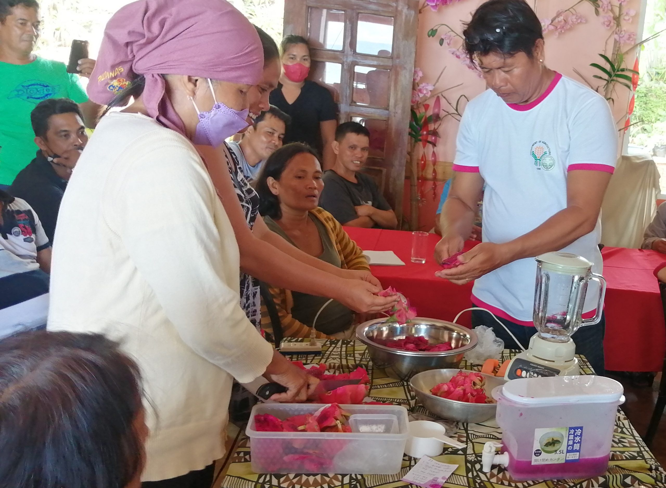 40 Siquijor Farmers venture into dragon fruit processing