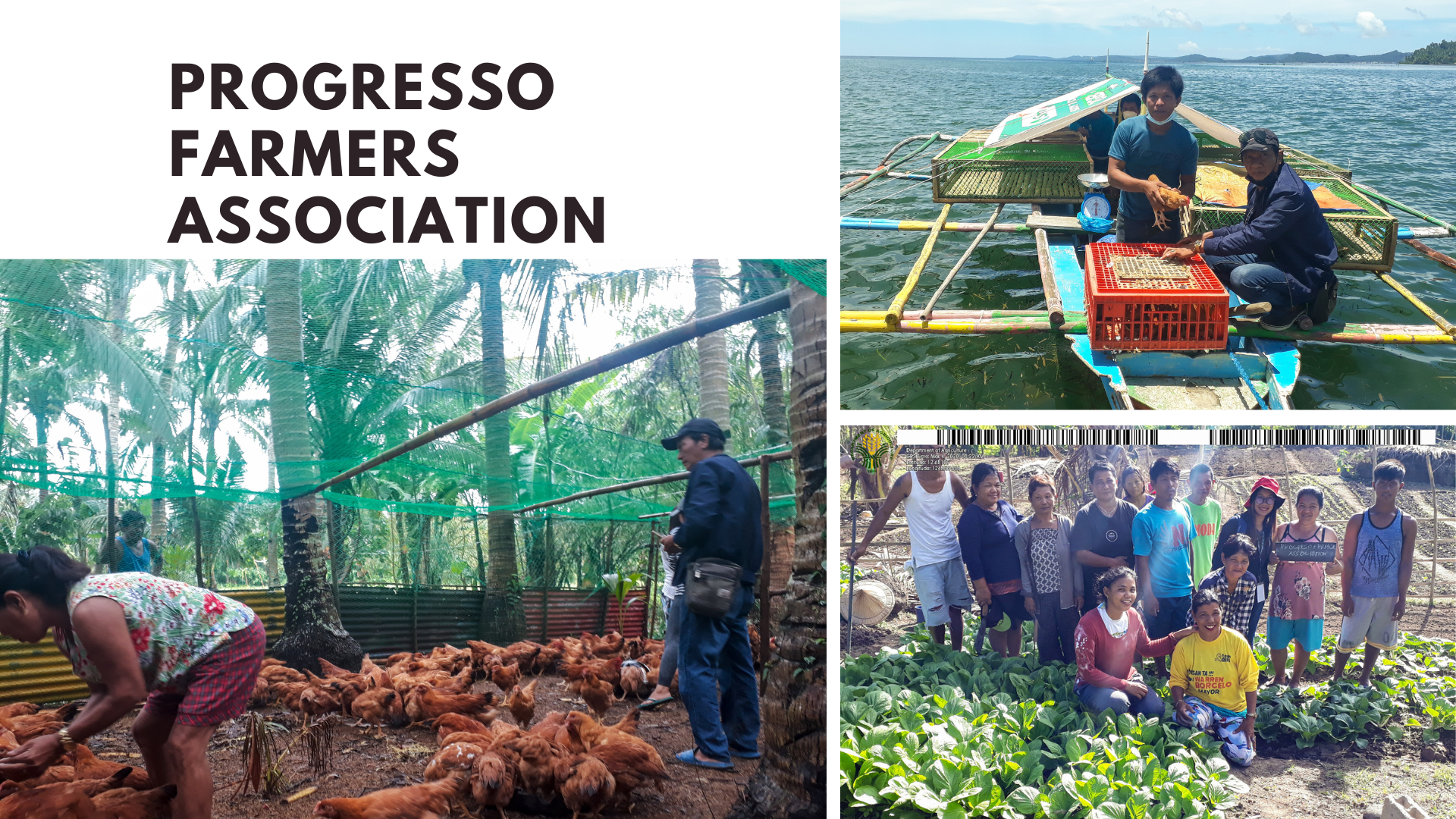 The progress of Progresso Farmers Association