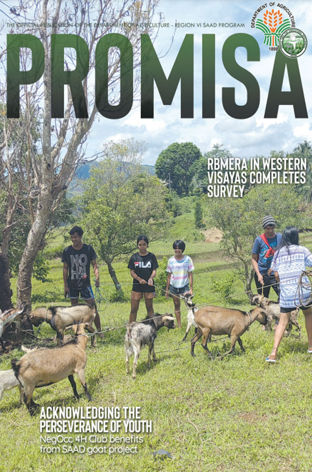 PROMISA Issue no. 2 (Jan-June 2022)