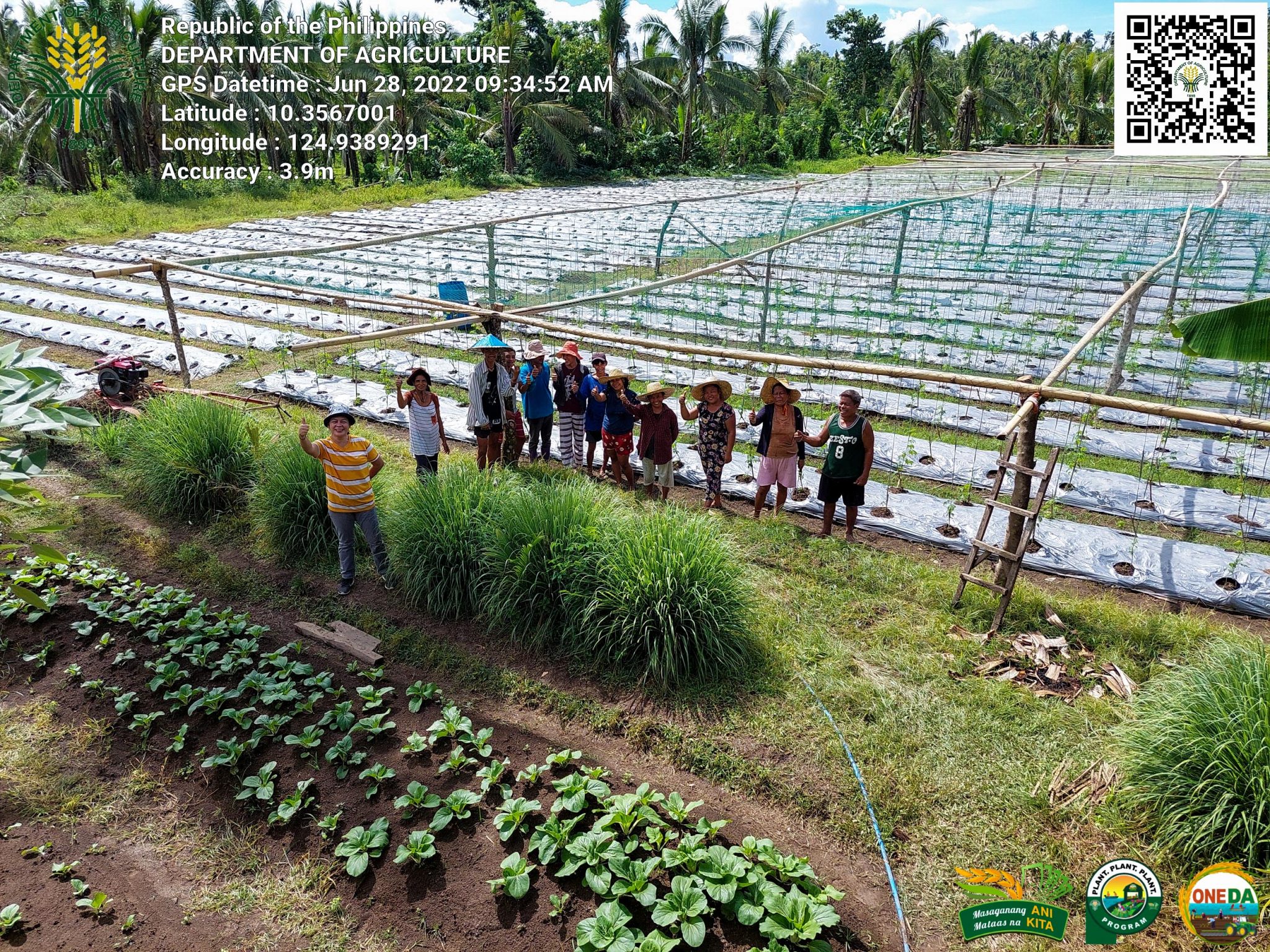 Southern Leyte vegetable farmers' resiliency amid typhoons proves fruitful