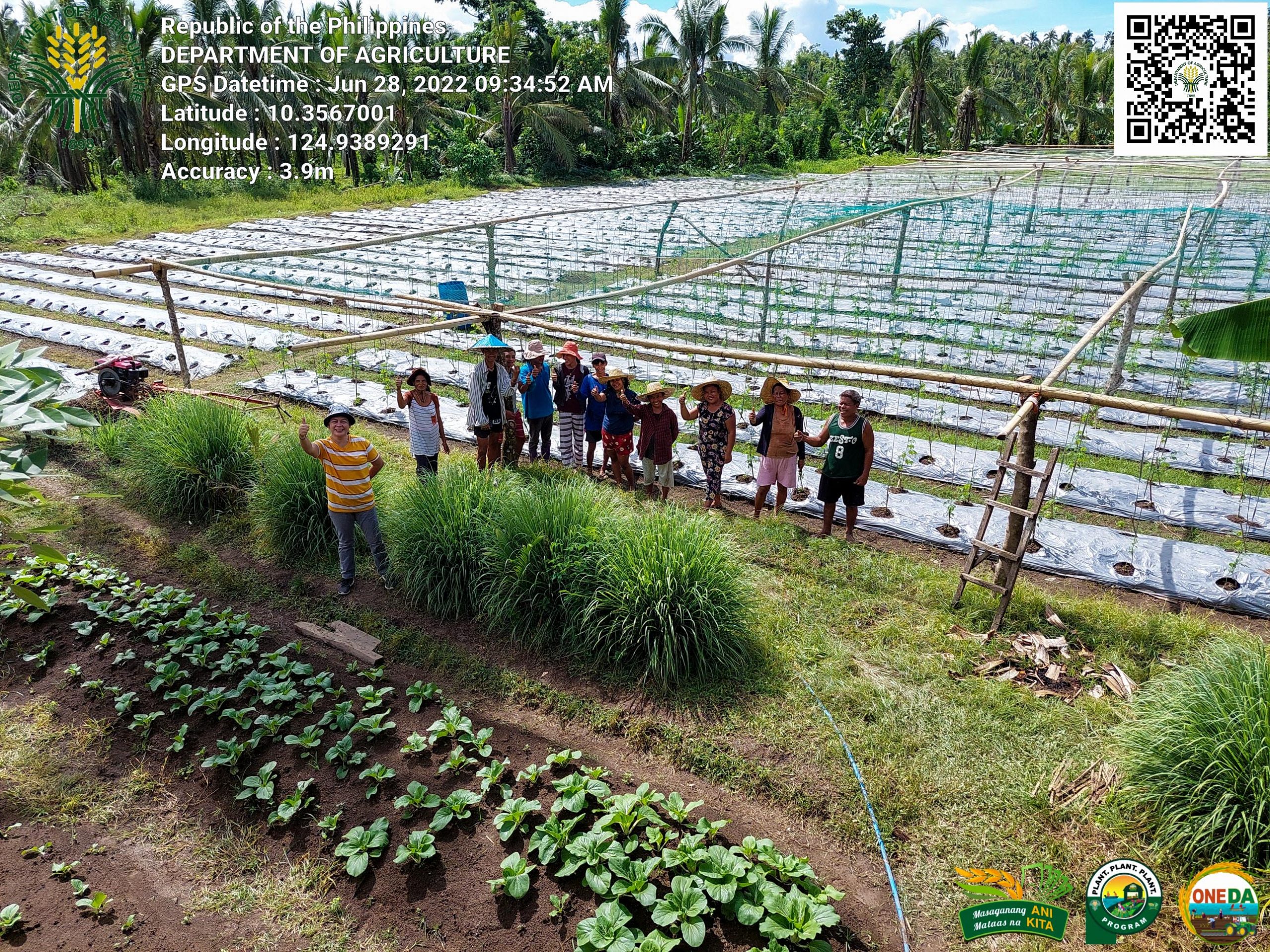 Southern Leyte vegetable farmers’ resiliency amid typhoons proves fruitful
