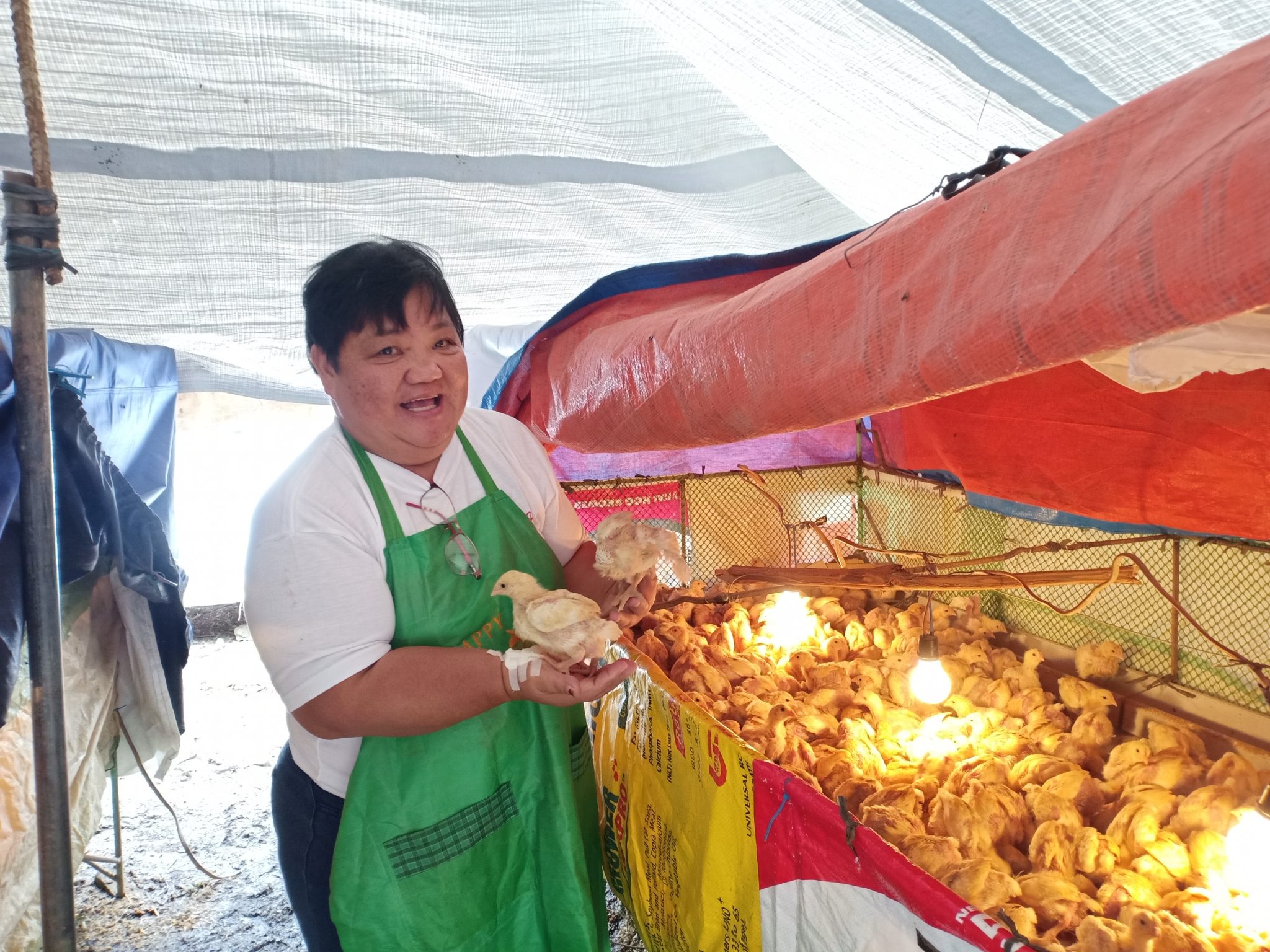 Bontoc IP members enhance skills on meat processing and marketing