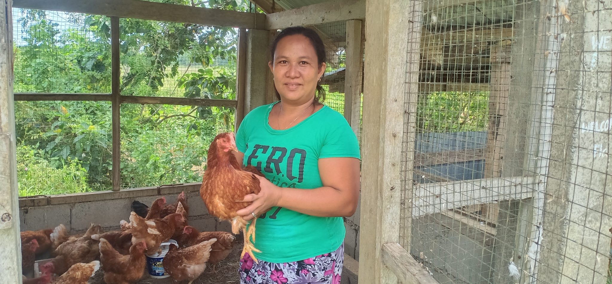 Former OFW thrives in business thru poultry farming