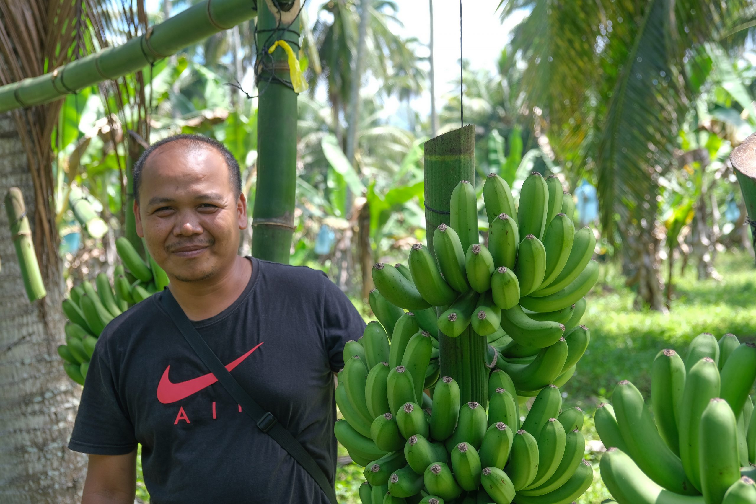 Going bananas: SAAD farmer peeling new opportunities with lakatan income