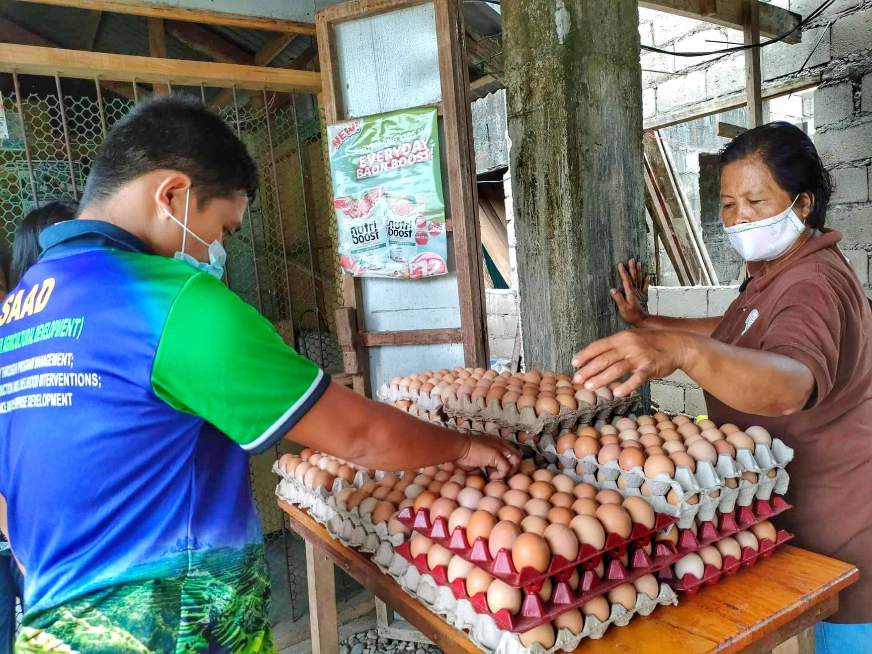 Apayao FCA profits from egg enterprise