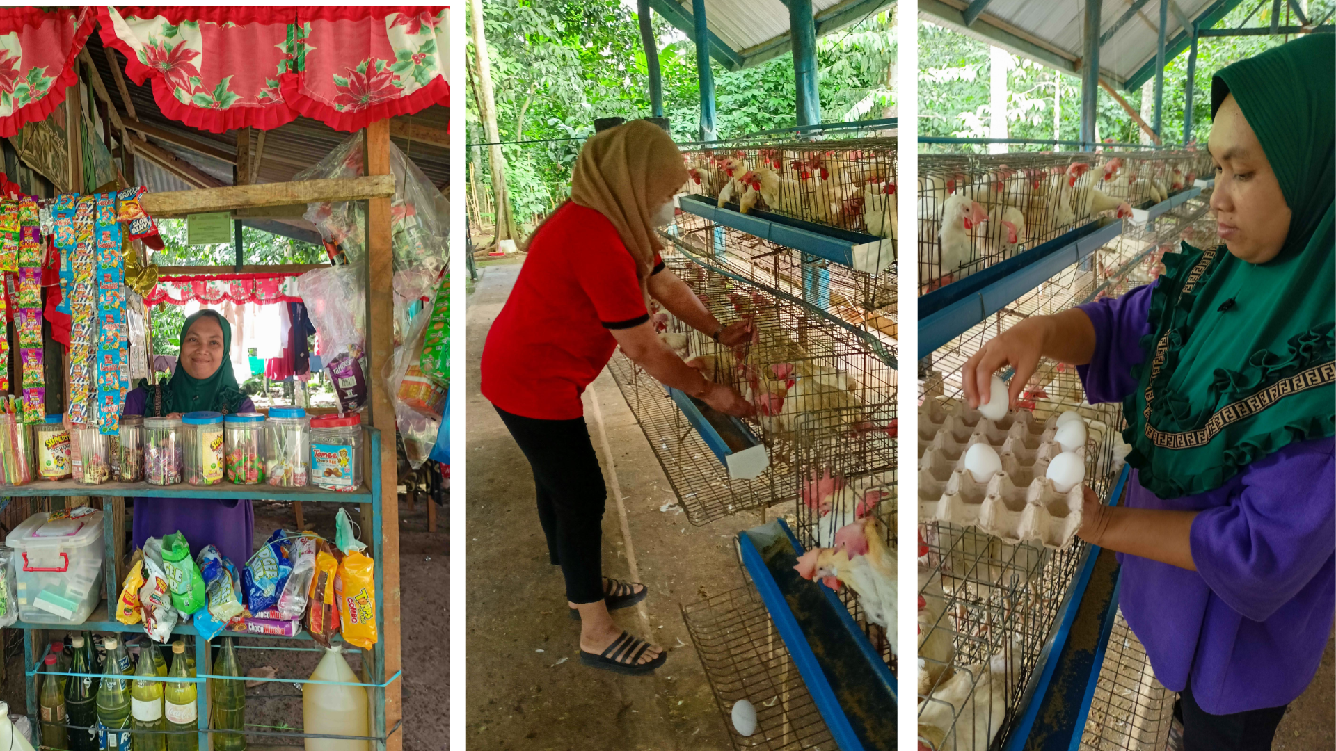 Eggs-tra mom: Talipao SAAD farmer’s poultry journey