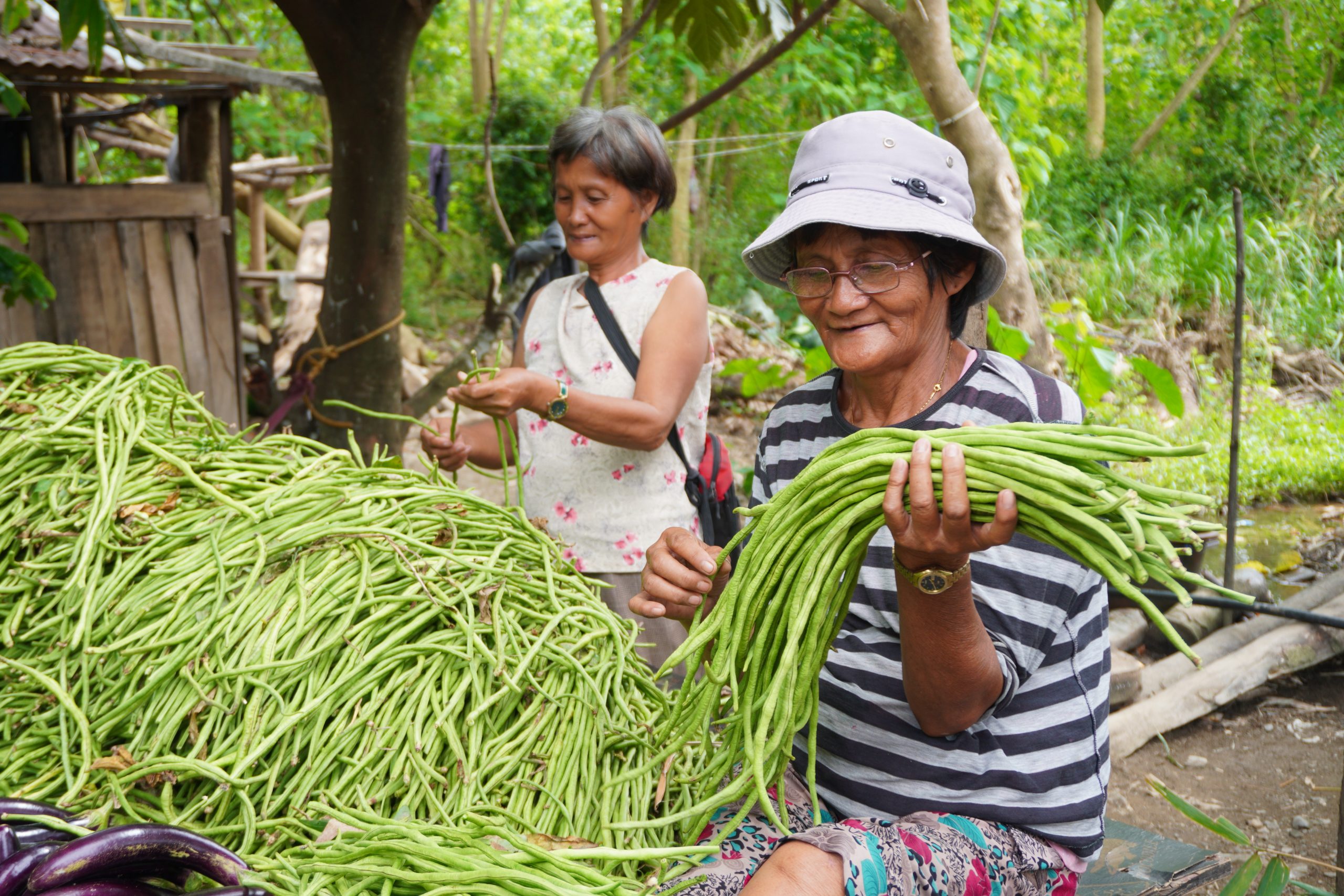 OccMin SAAD-assisted farmers earn Php 355K through Vegetable Production Project