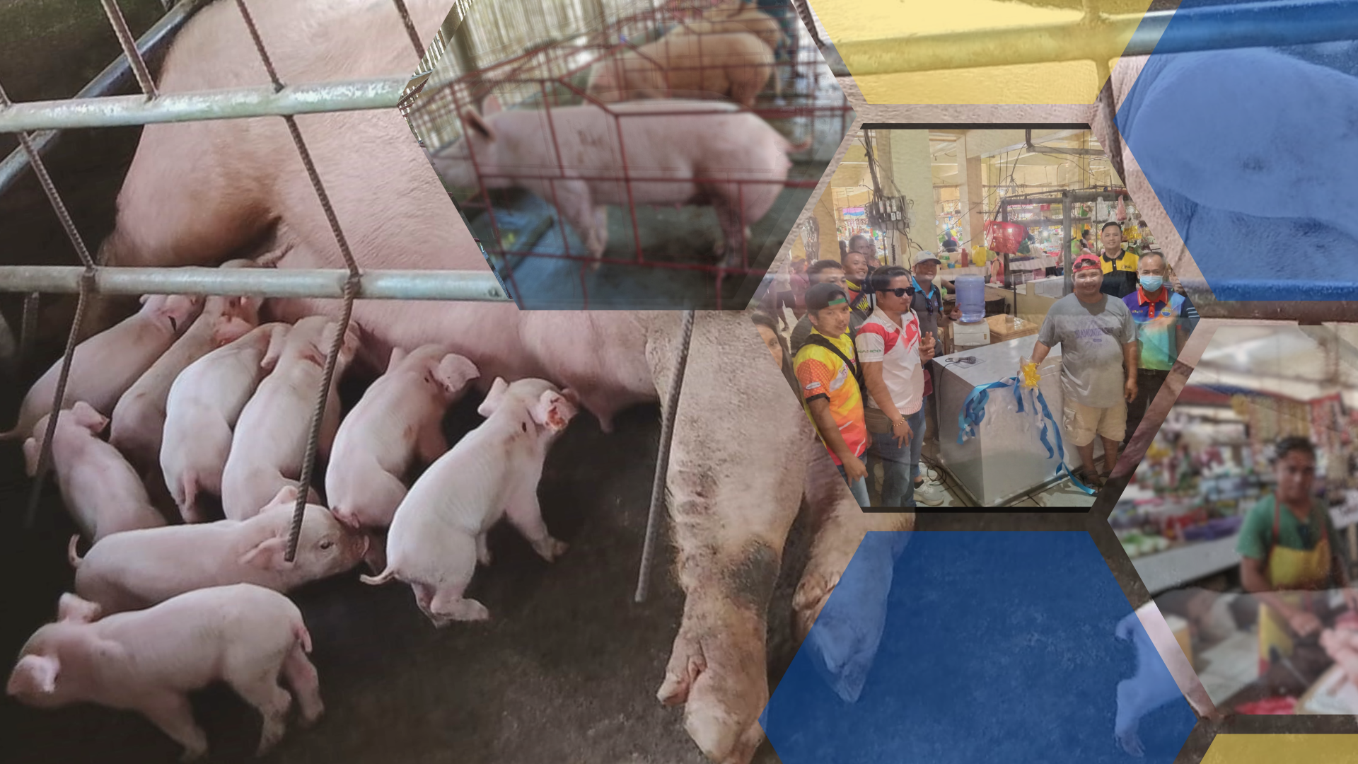 Swine-tastic: Negros FA puts up own meat shop after steady income from SAAD hog project