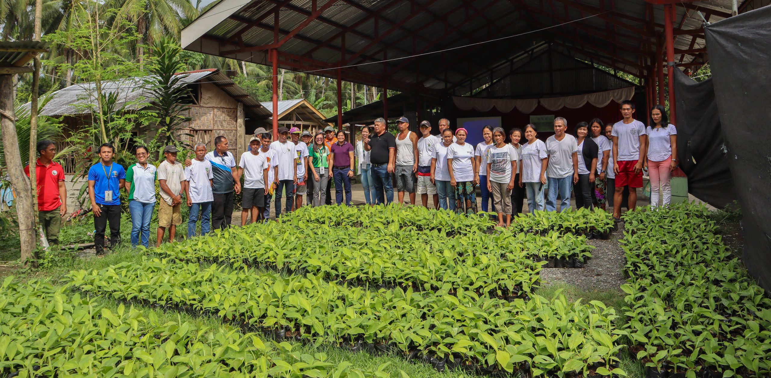 25 ADN farmers receive DA-SAAD’s lakatan production project