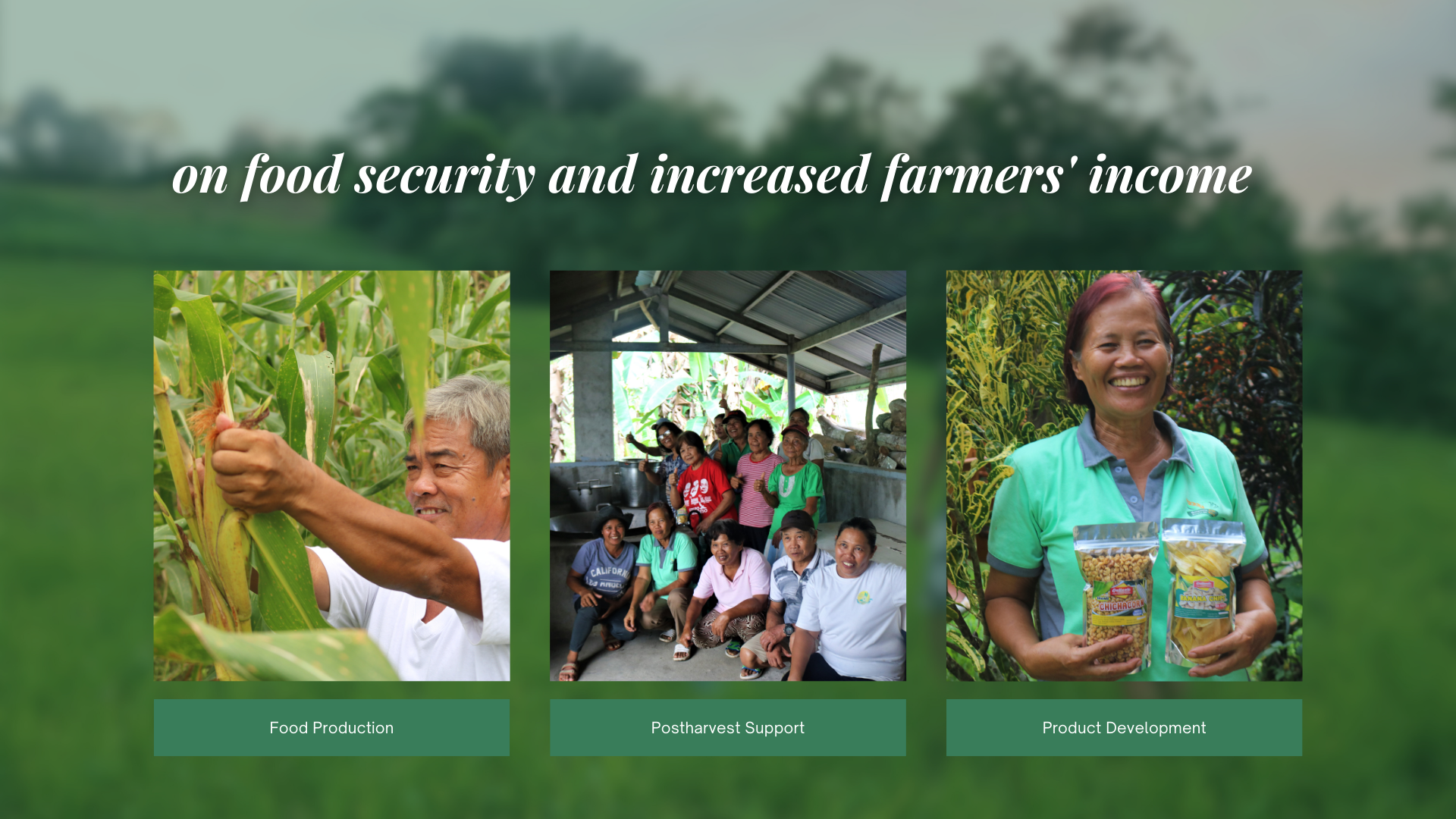 SAAD SOCCSKSARGEN realizing goals on food security and increased farmers’ income