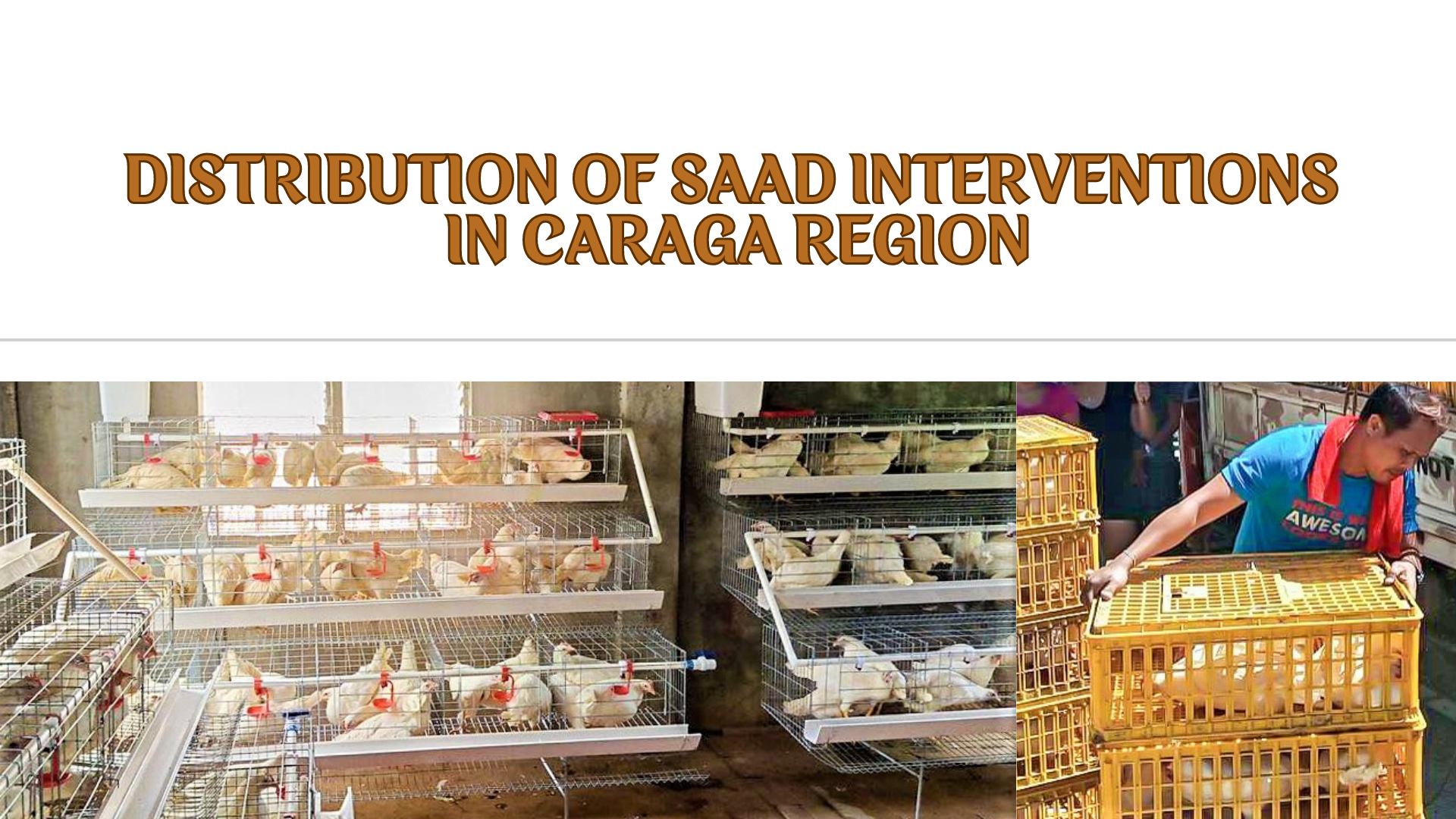 SAAD provides communal egg production projects to 16 FAs in Surigao Del Norte, Dinagat Islands