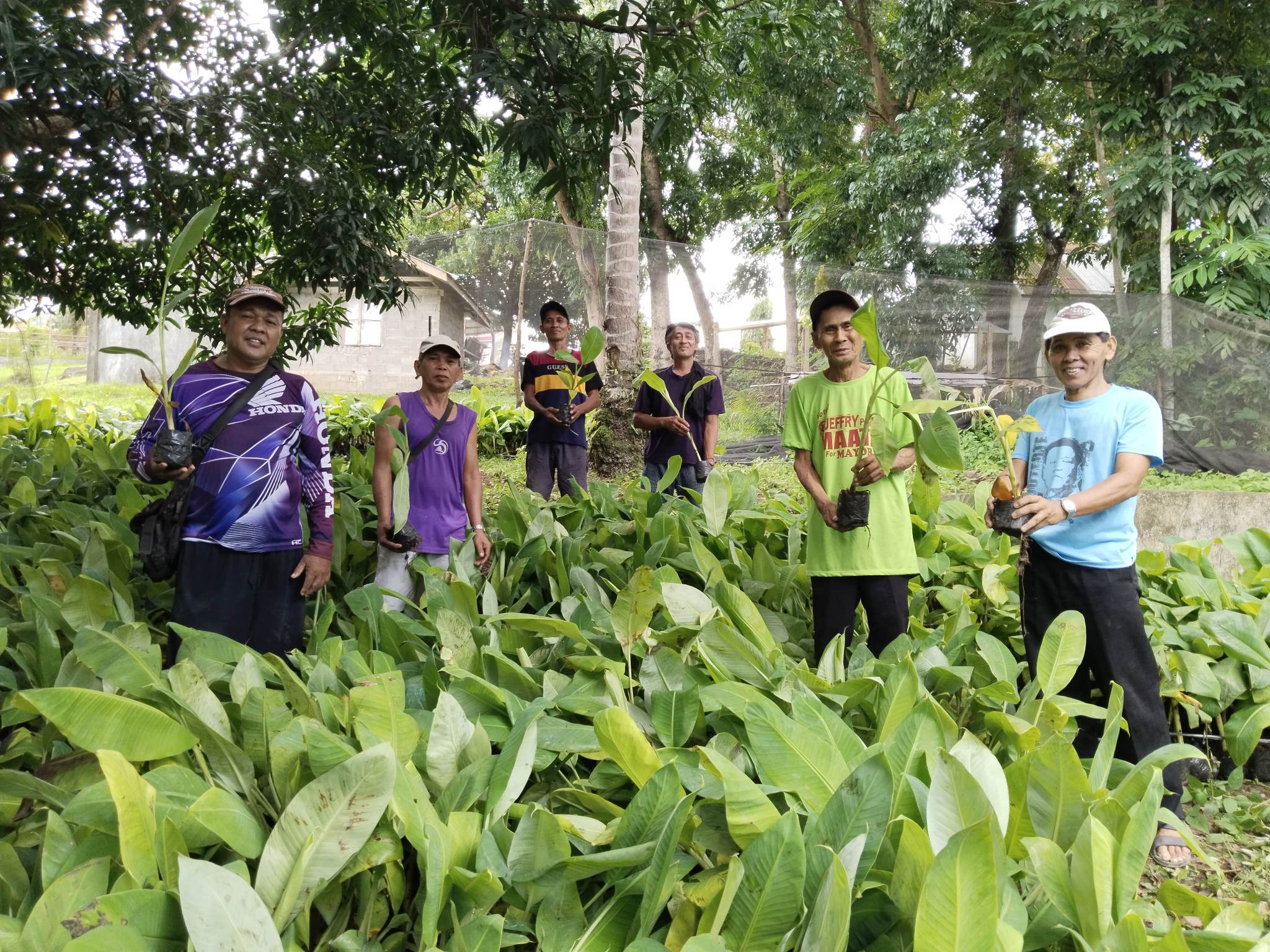 Zamboanga del Sur farmers receive Lakatan and corn production inputs from DA-SAAD 9