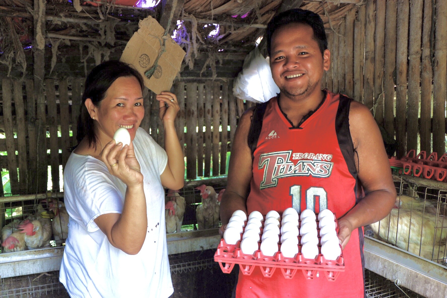 San Miguel-based poultry raisers earn 112k from chicken egg business