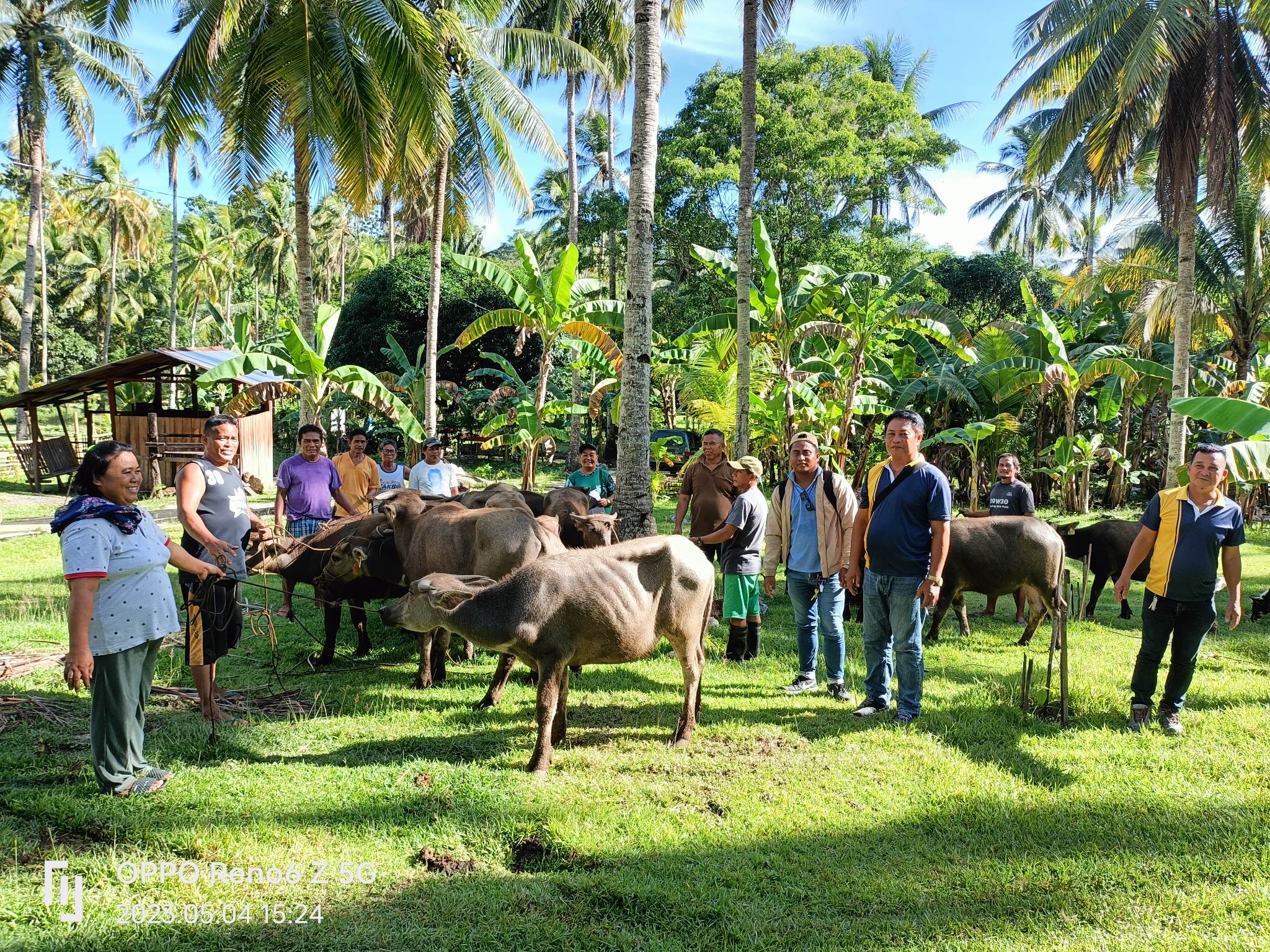 25 farmers in Zamboanga del Sur received Carabao Dairy Production Project