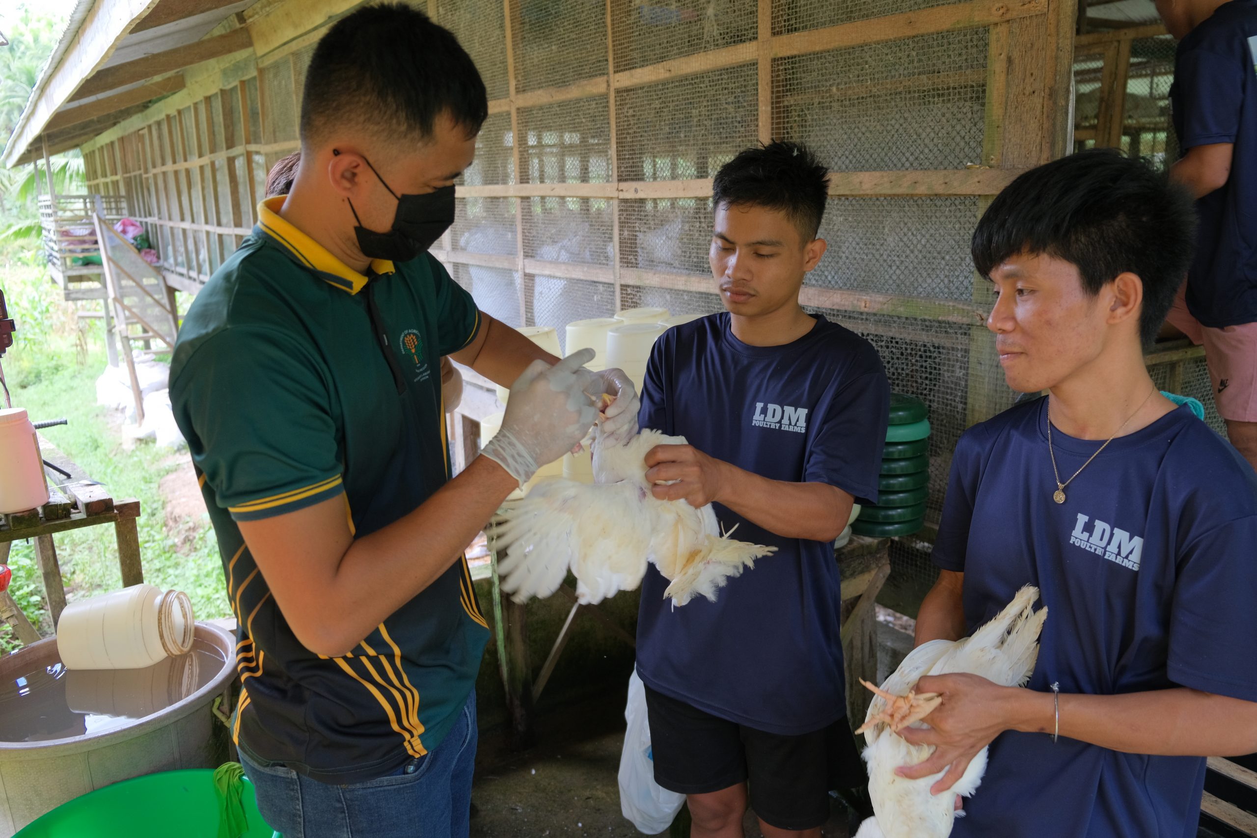 SAAD Davao Region trains CDOs on layer chicken management for project implementation