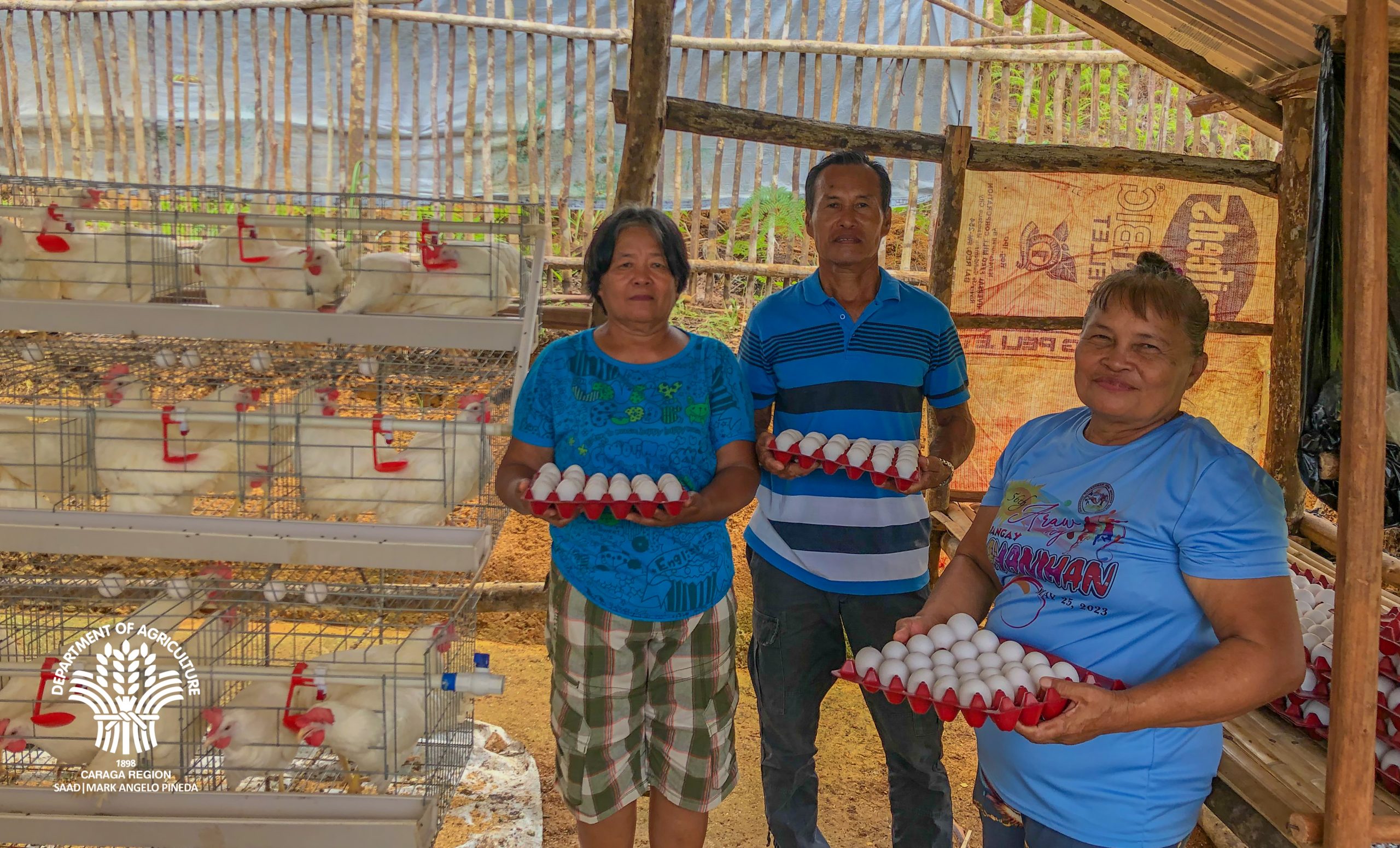 DA SAAD Caraga funds 5.8M layer livelihood projects in Dinagat