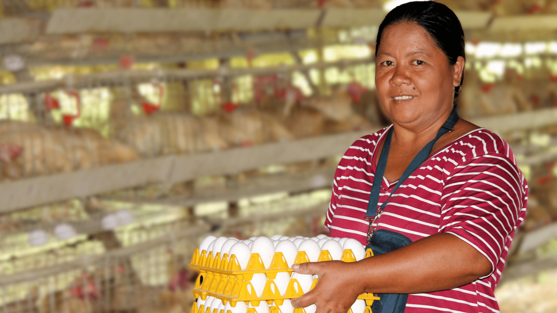 Women-led association in OcciMin turns SAAD project into a thriving poultry business