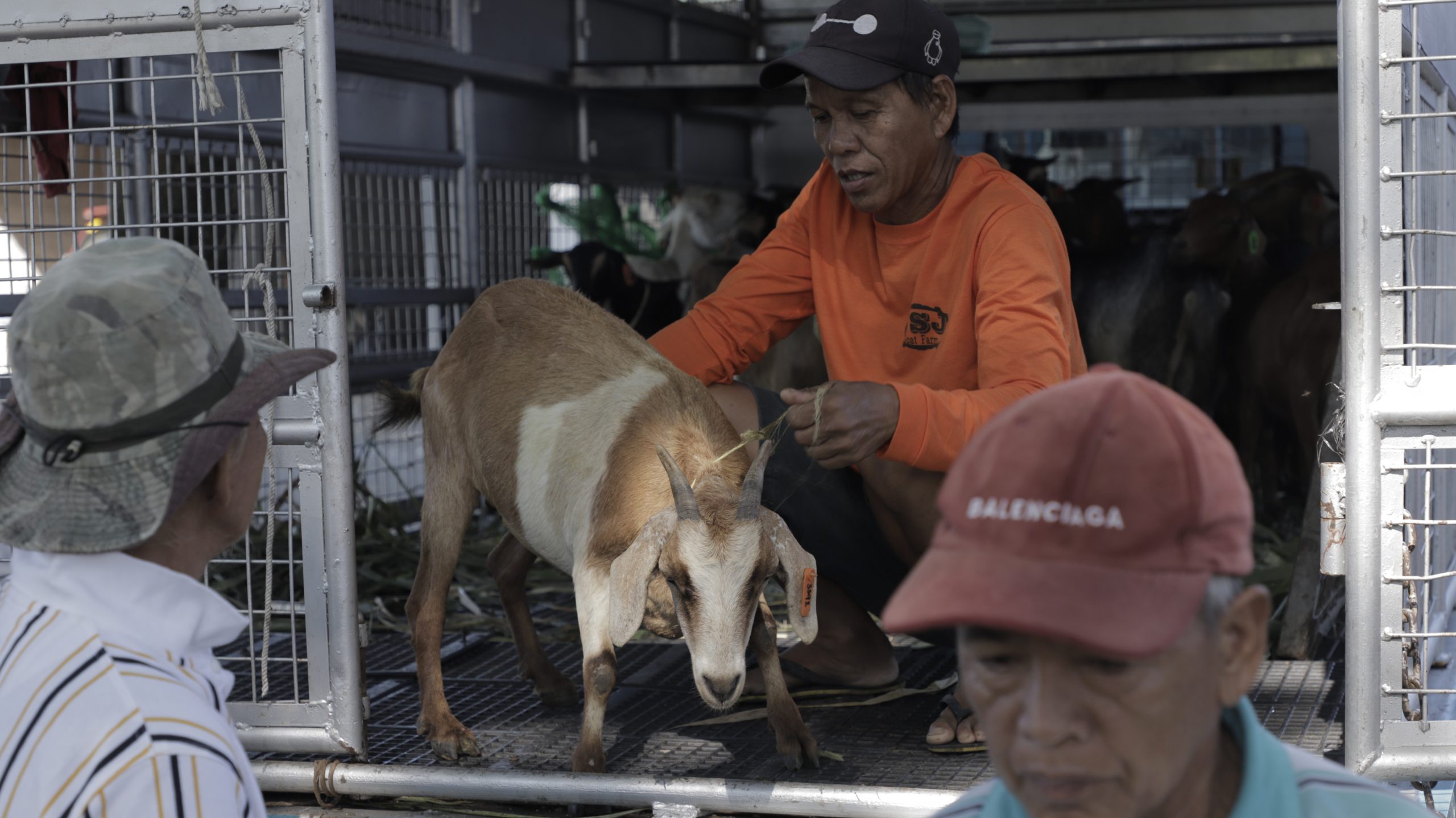 38 Ilocos crop cultivators receive goat project under DA-SAAD Phase 2