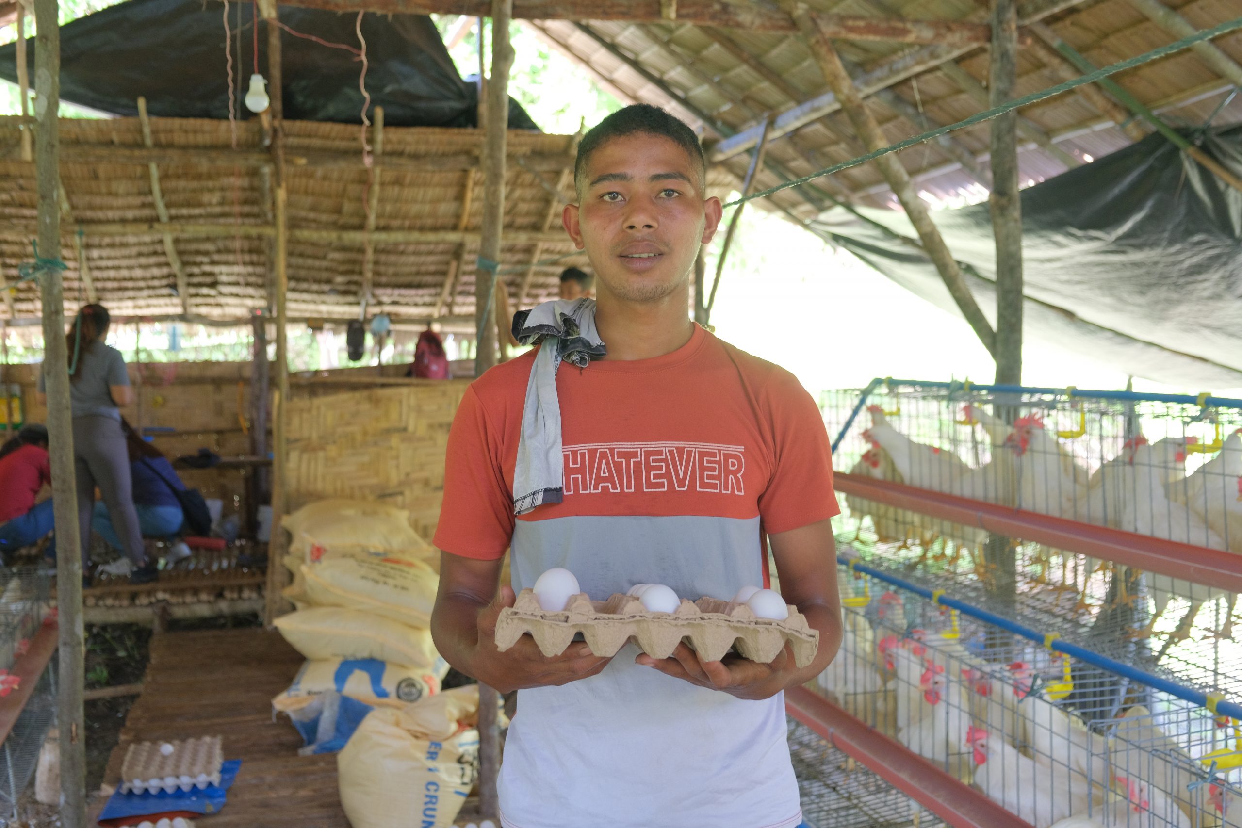 14 Dabawenyo FAs’ kick off egg production; expect peak sales during holiday season