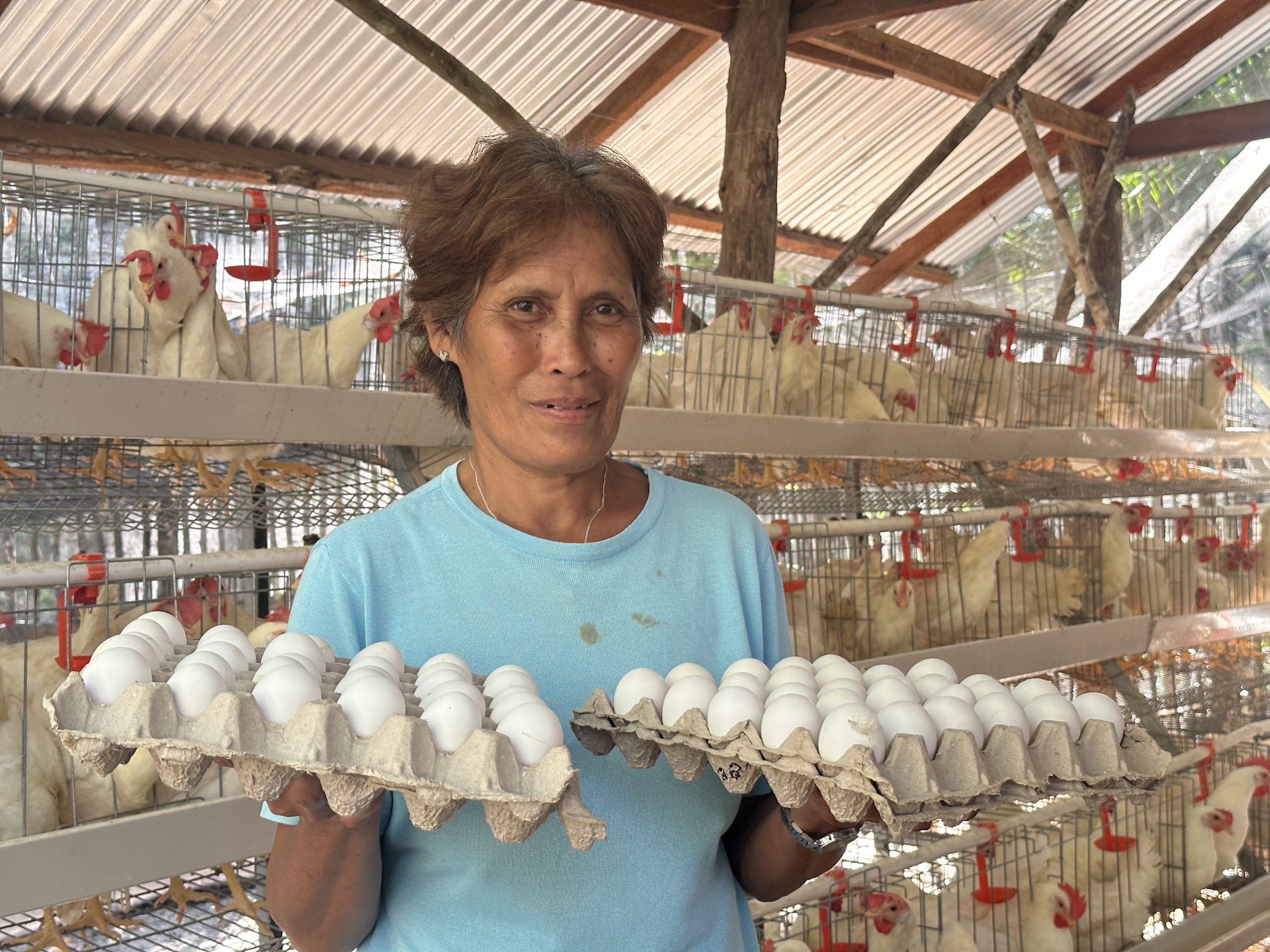 Siquijor farmers earn more than 150K gross income from Chicken Egg Production Project
