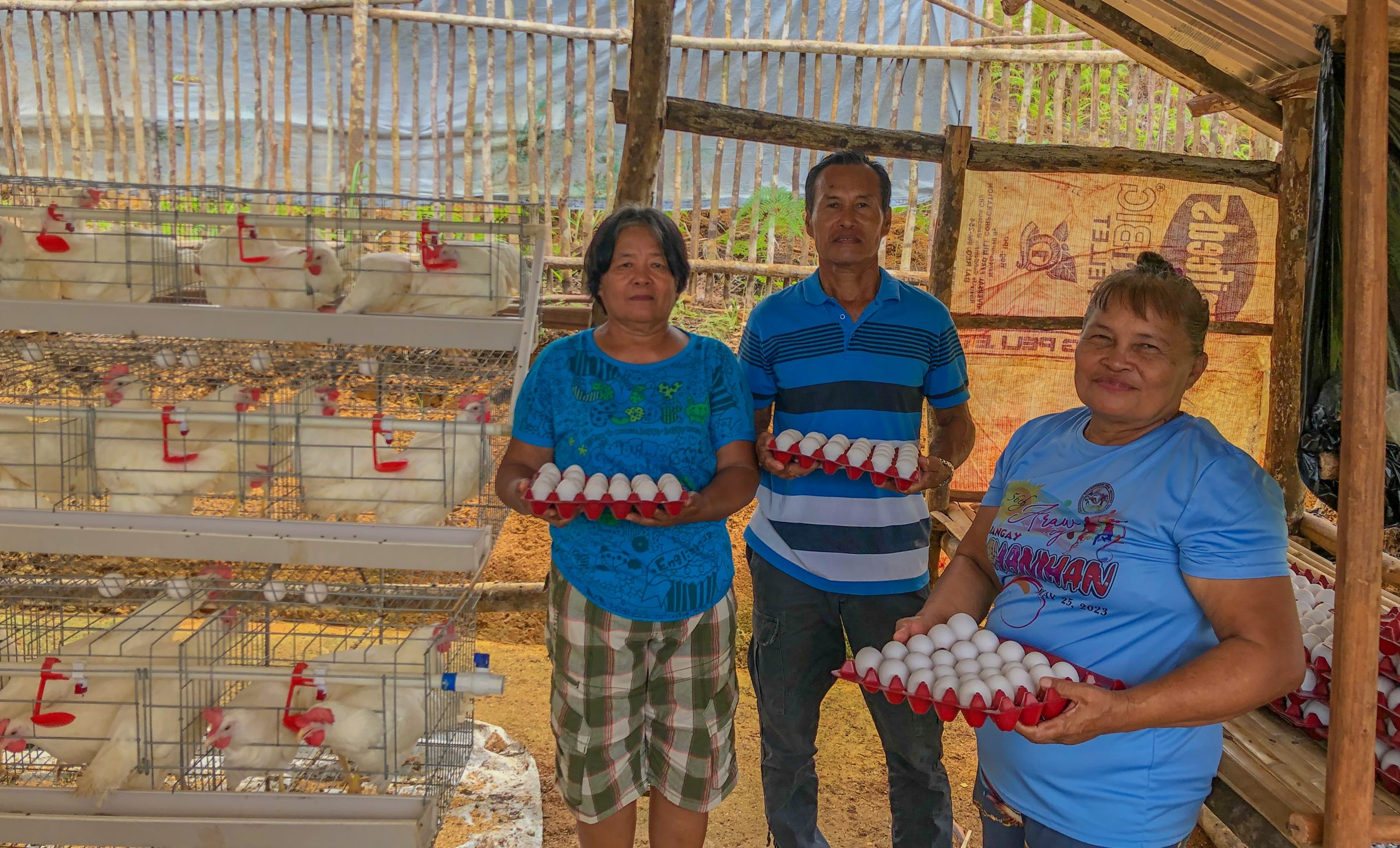 418 Siargao, Dinagat farmers generate stable income from SAAD layer chicken projects